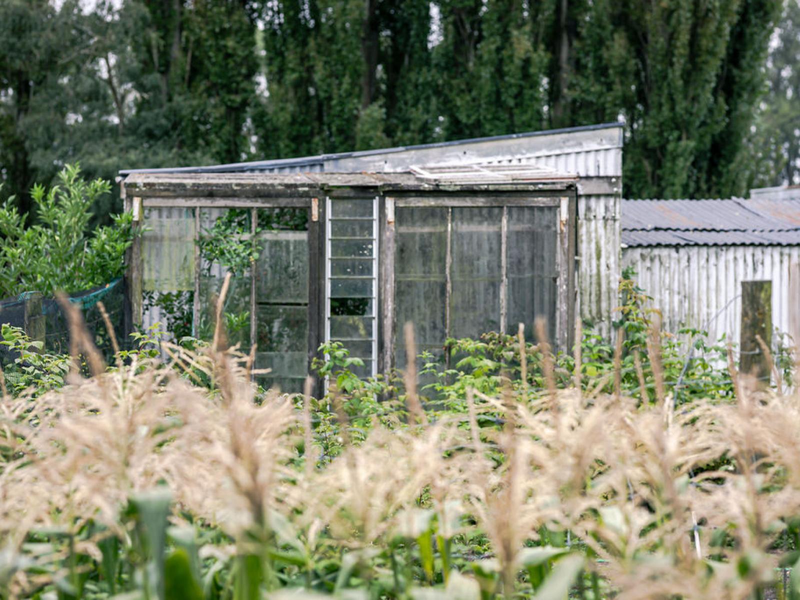 105 Albert Street, Ashburton