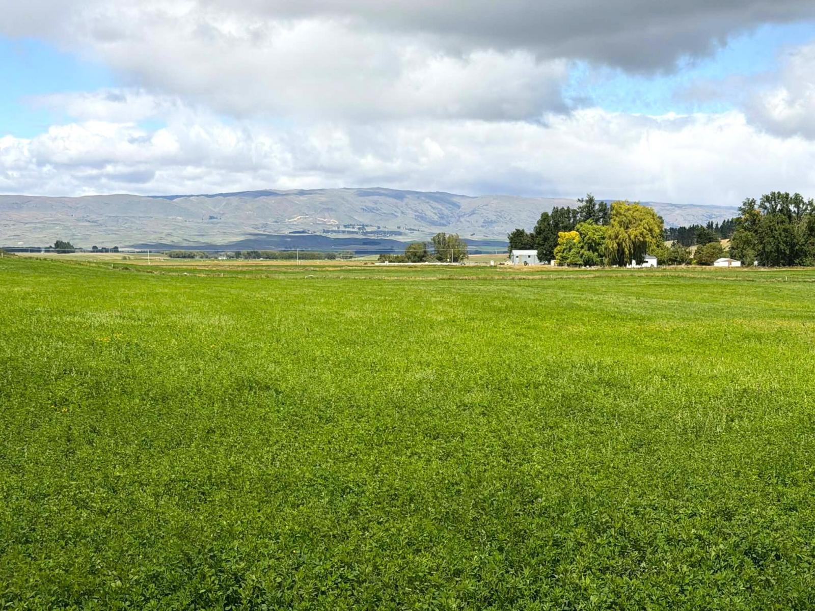 Bypass Road, Ranfurly