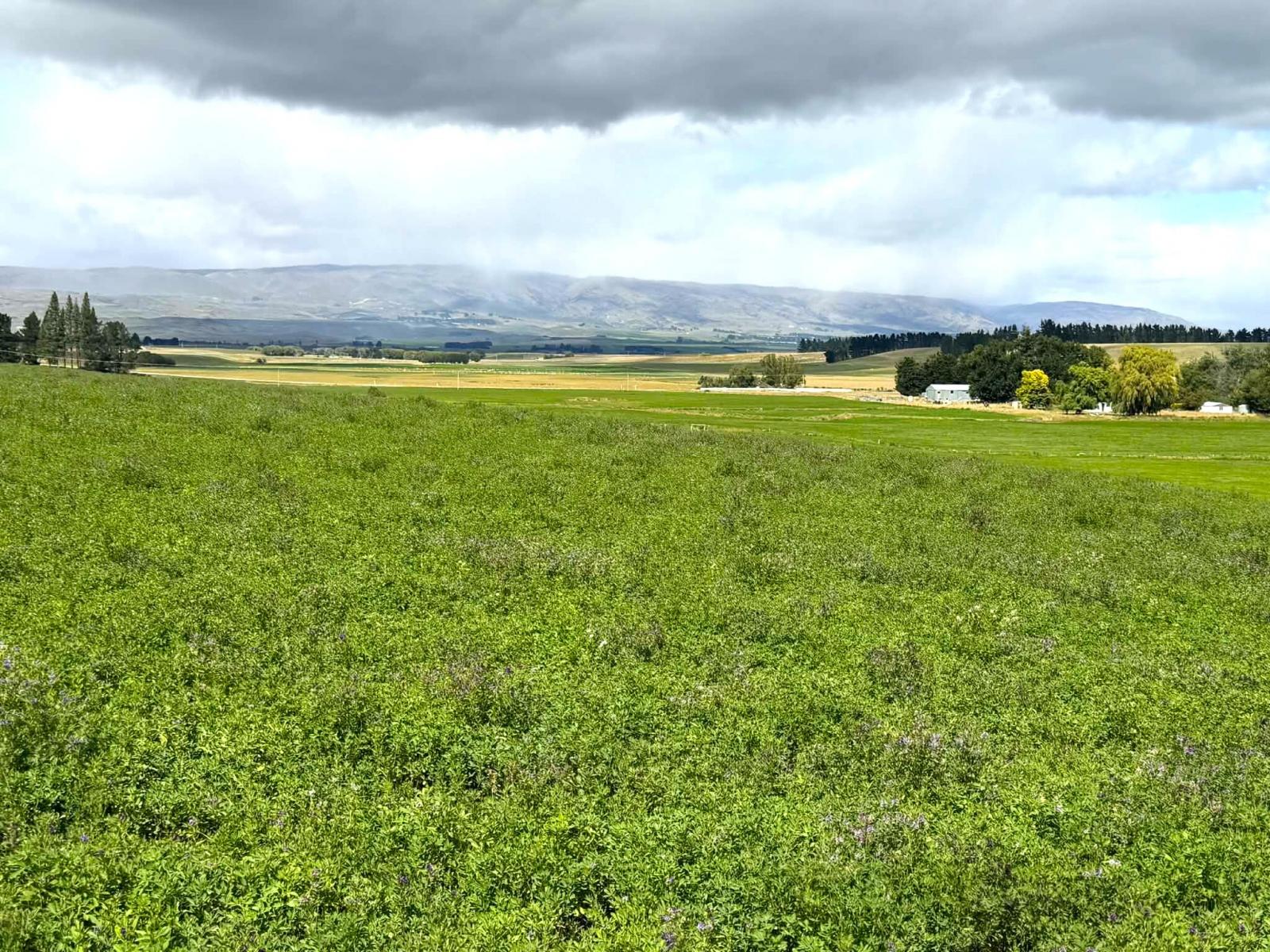 Bypass Road, Ranfurly