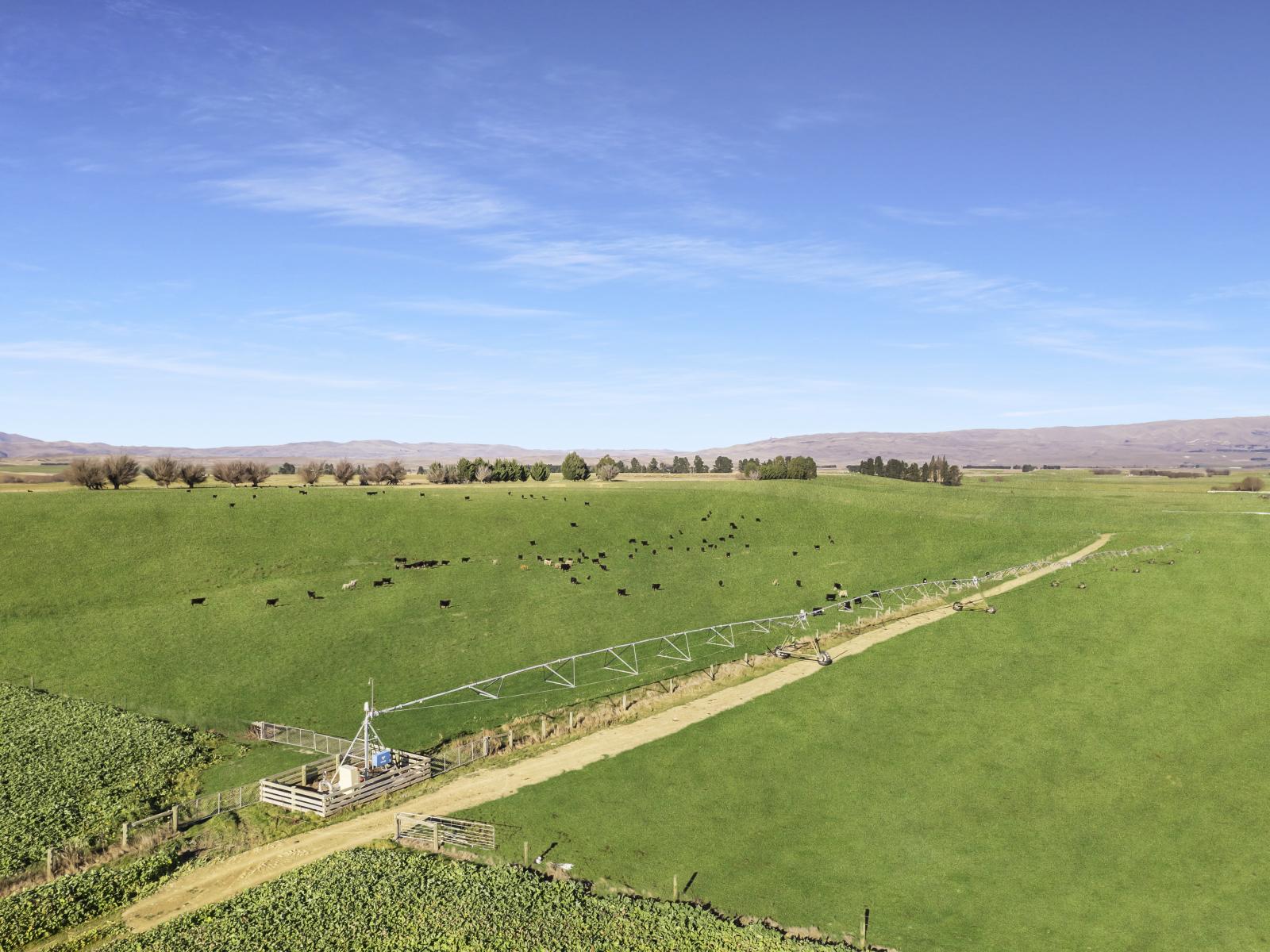 Bypass Road, Ranfurly