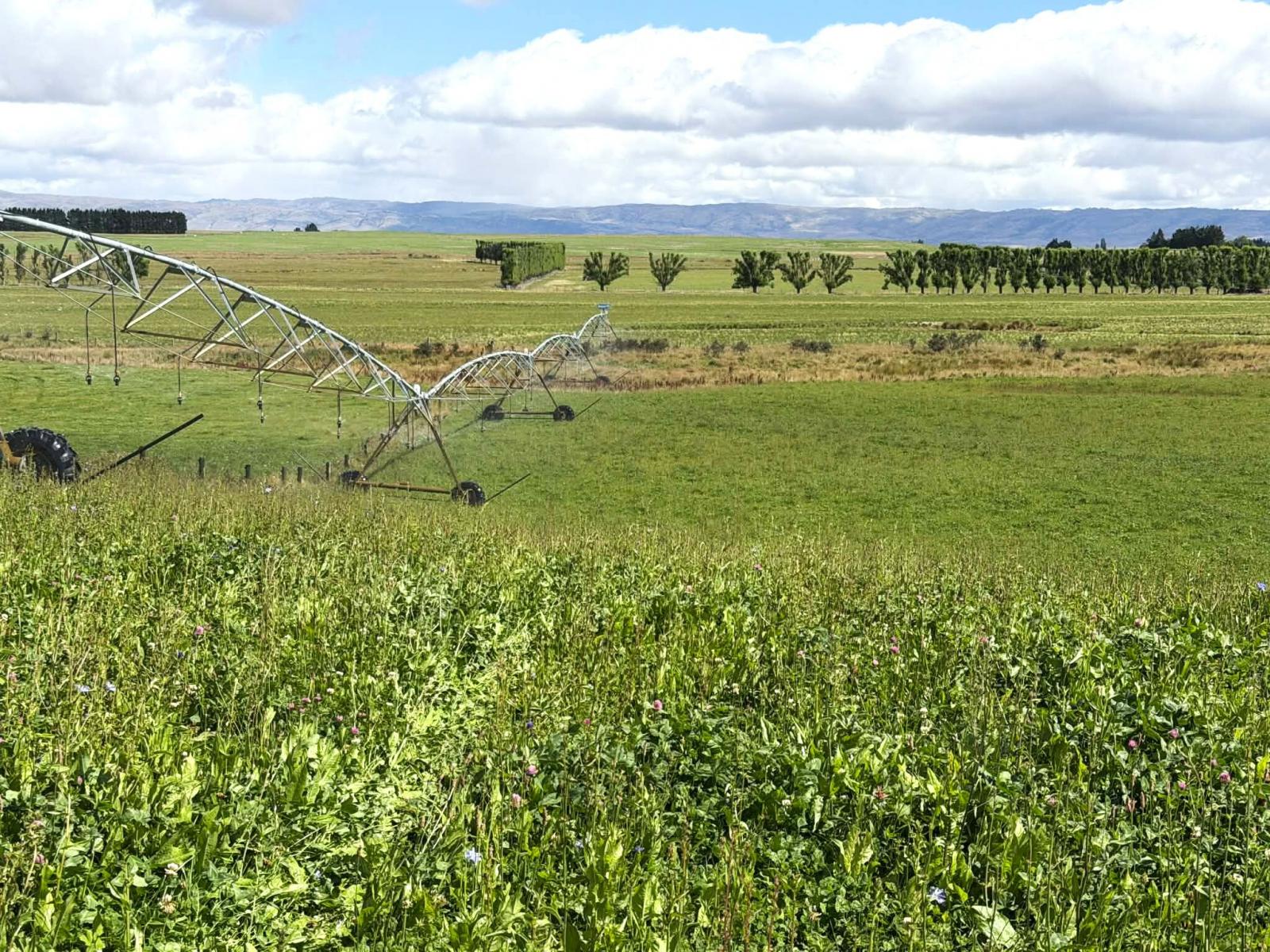 Bypass Road, Ranfurly