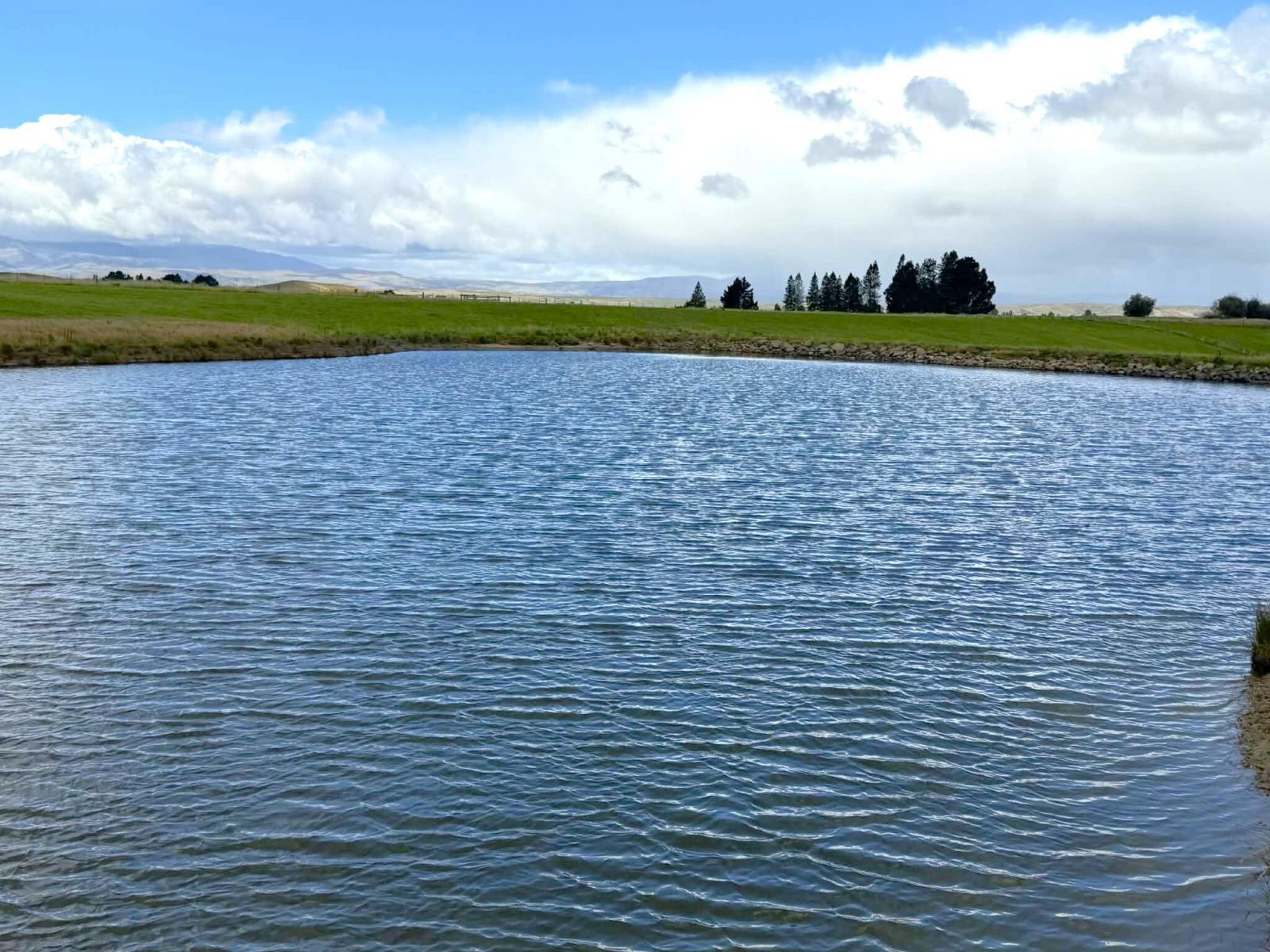 Bypass Road, Ranfurly