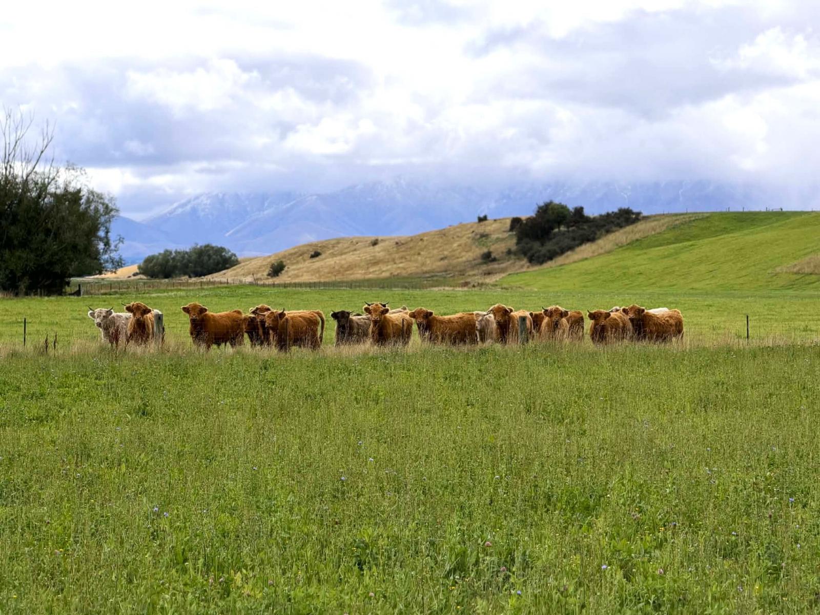 Bypass Road, Ranfurly