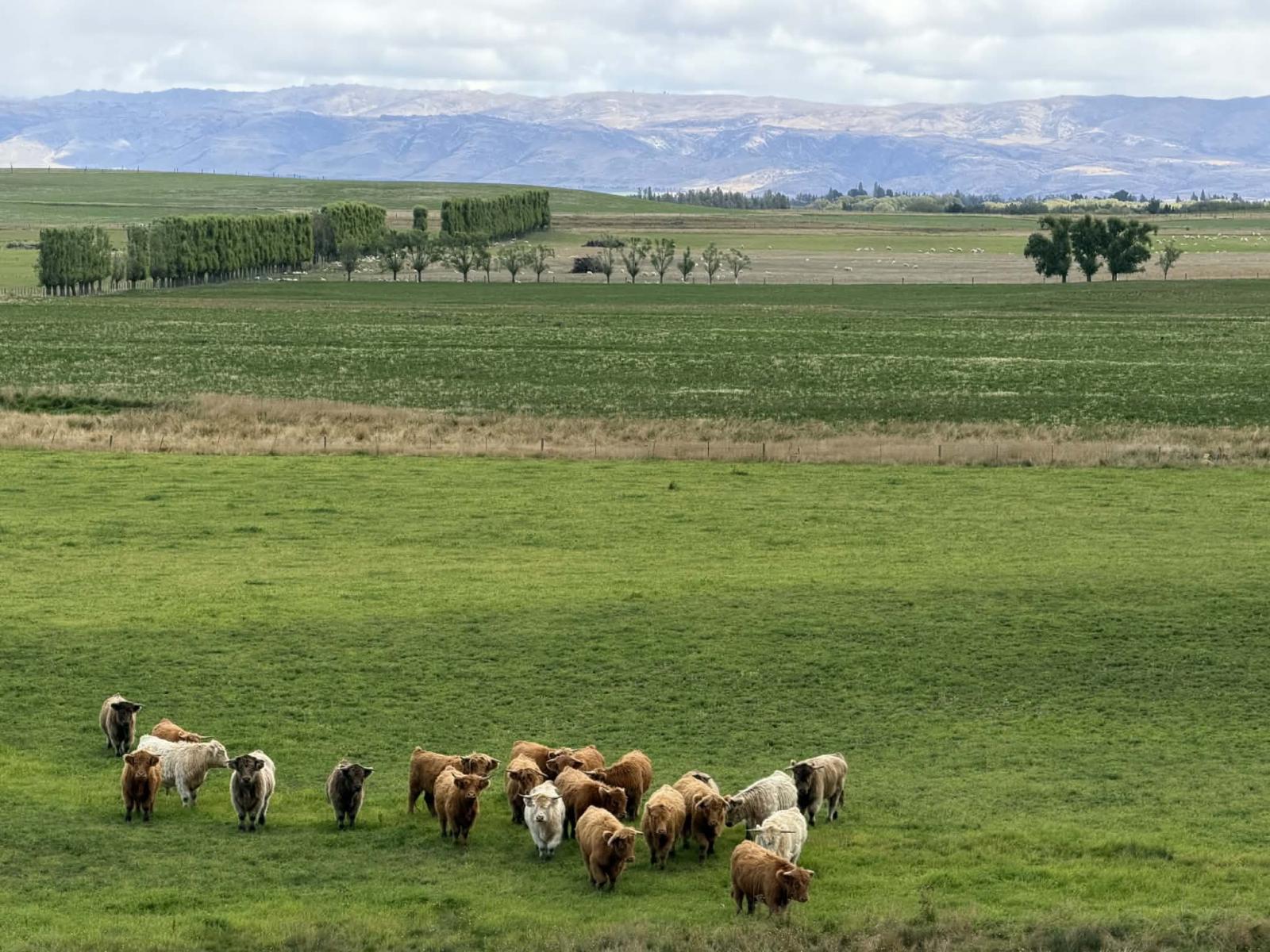 Bypass Road, Ranfurly