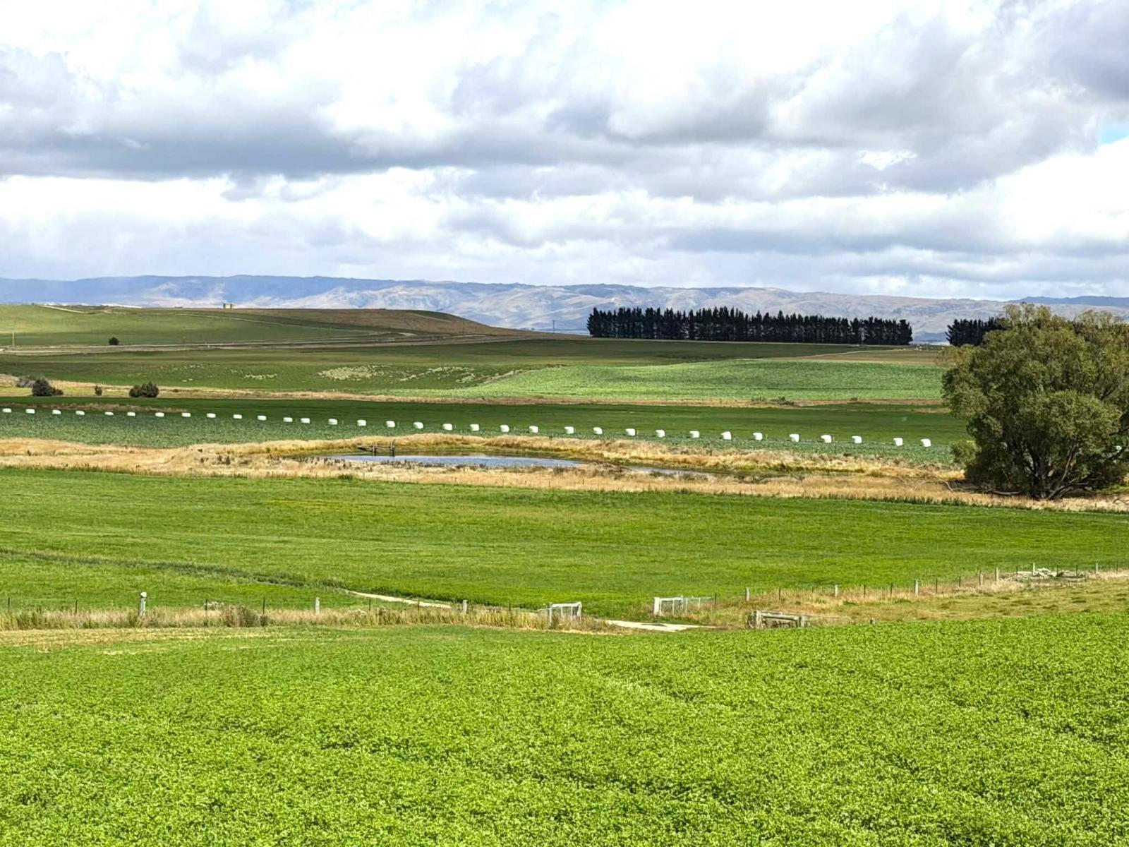 Bypass Road, Ranfurly