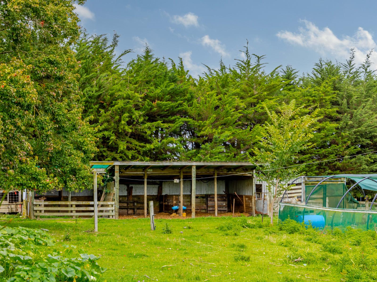 16 Swamp Road, Ongaonga