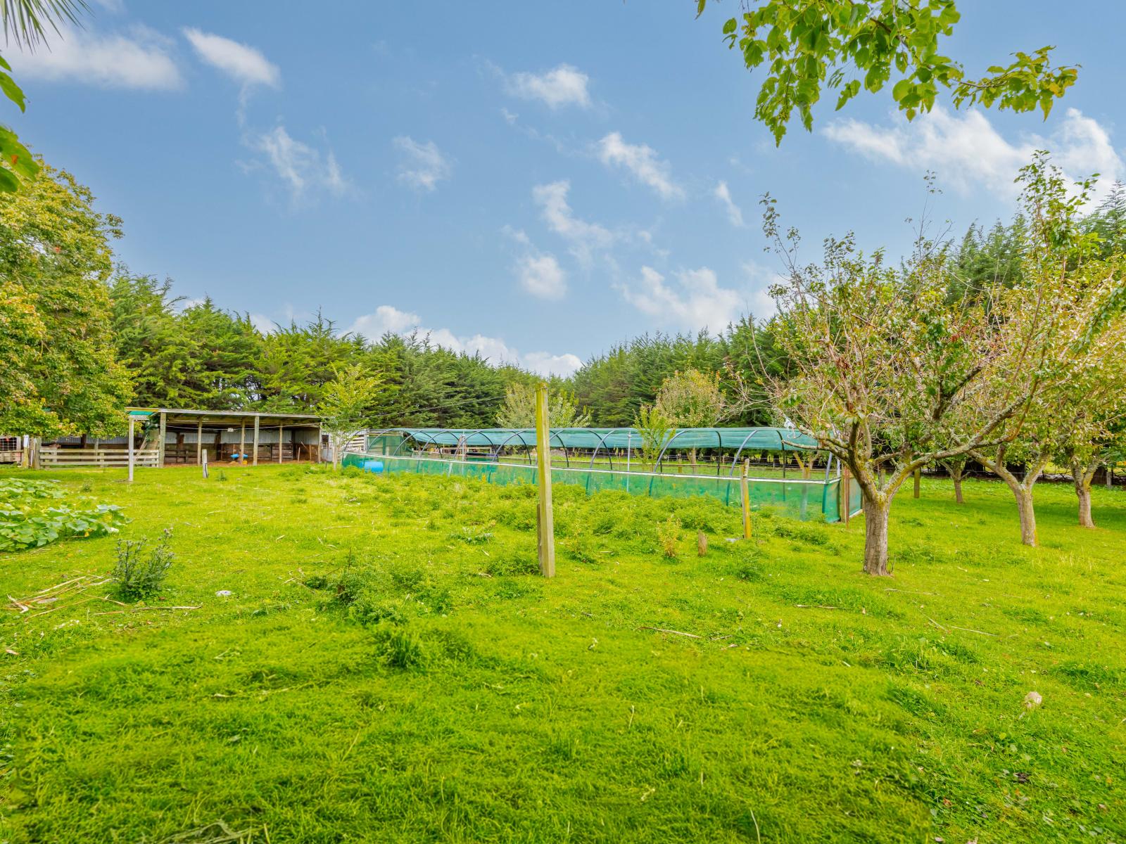 16 Swamp Road, Ongaonga