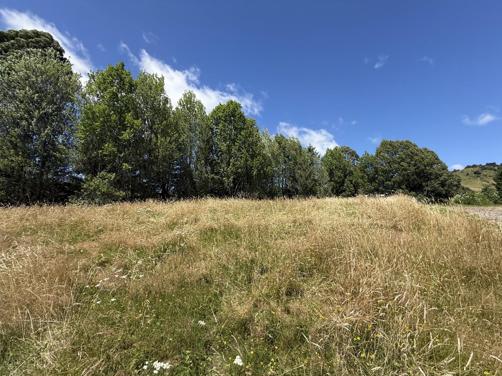 8 Raurimu Road, Raurimu