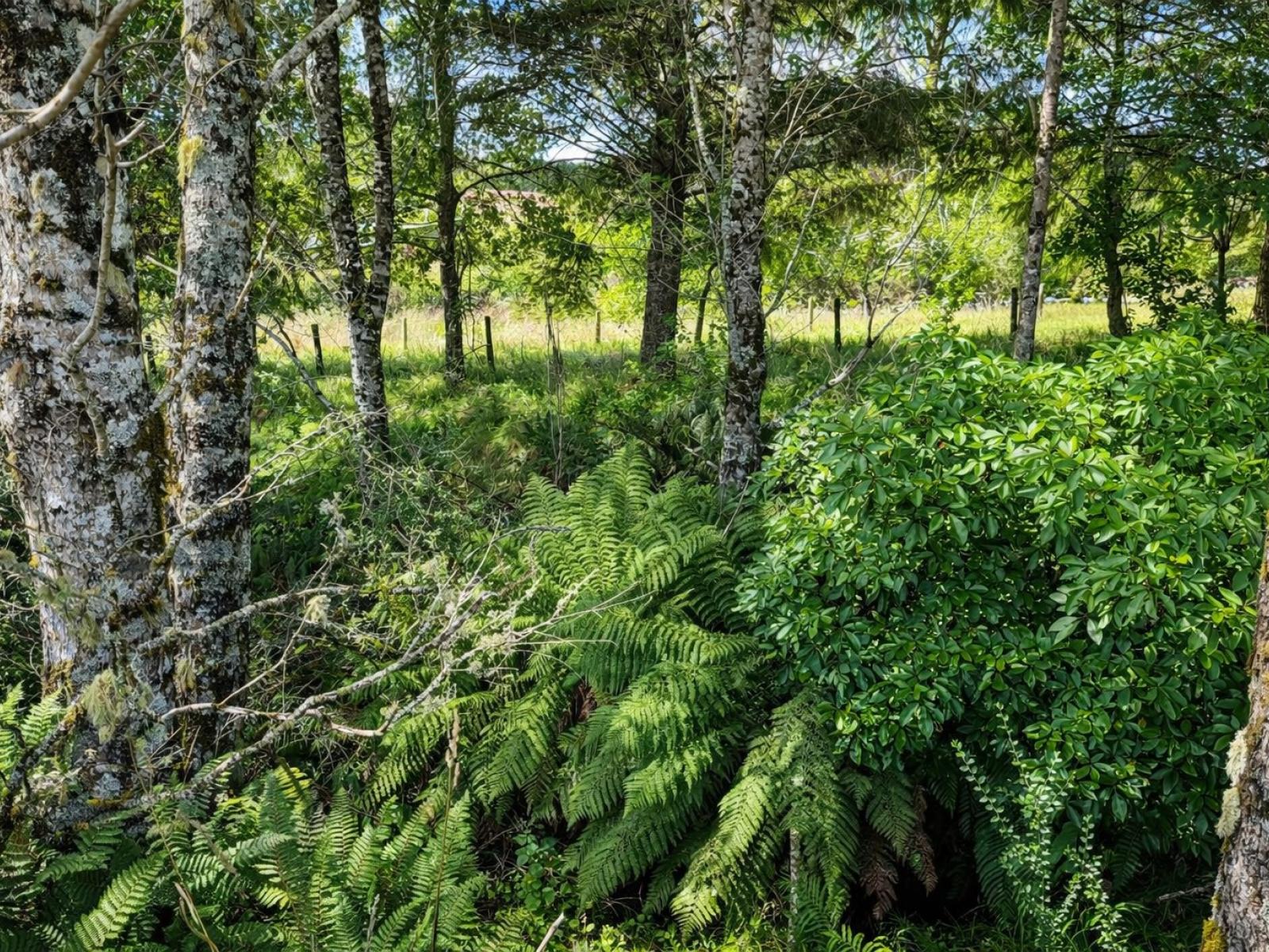 8 Raurimu Road, Raurimu