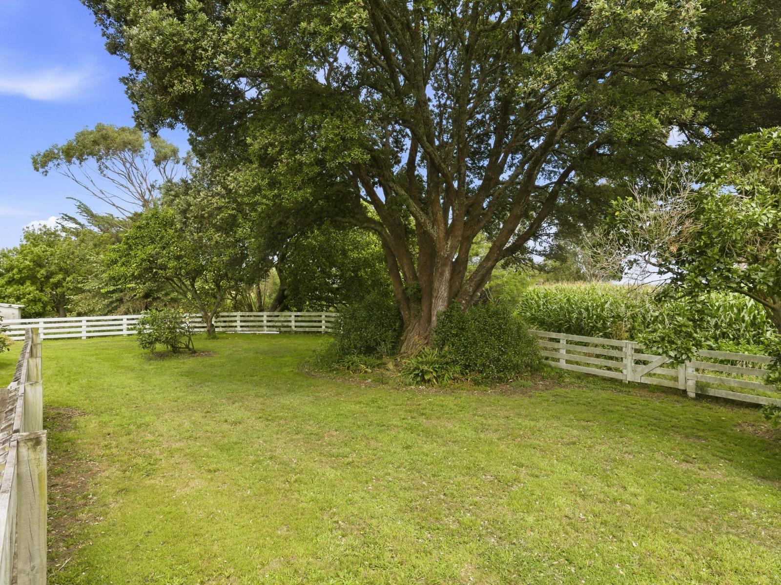 225 Kuku Beach Road, Manakau