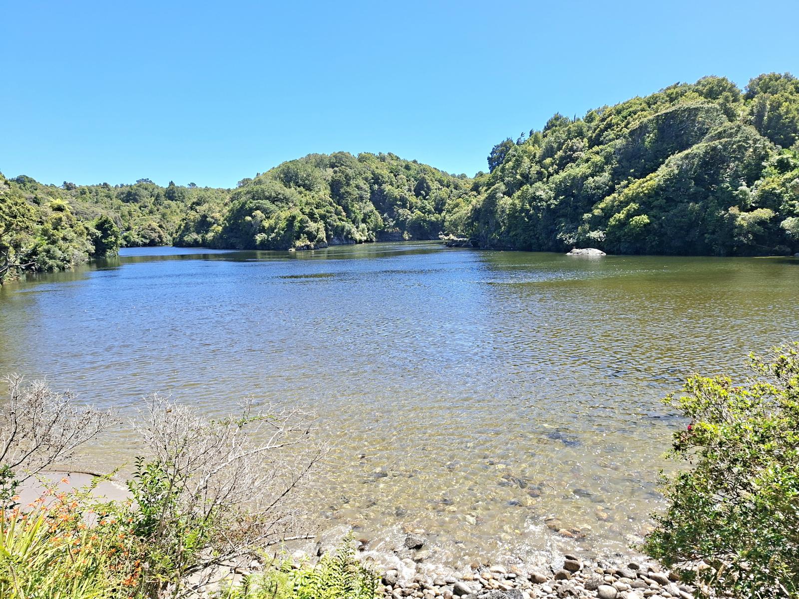 7370 State Highway 6, Charleston