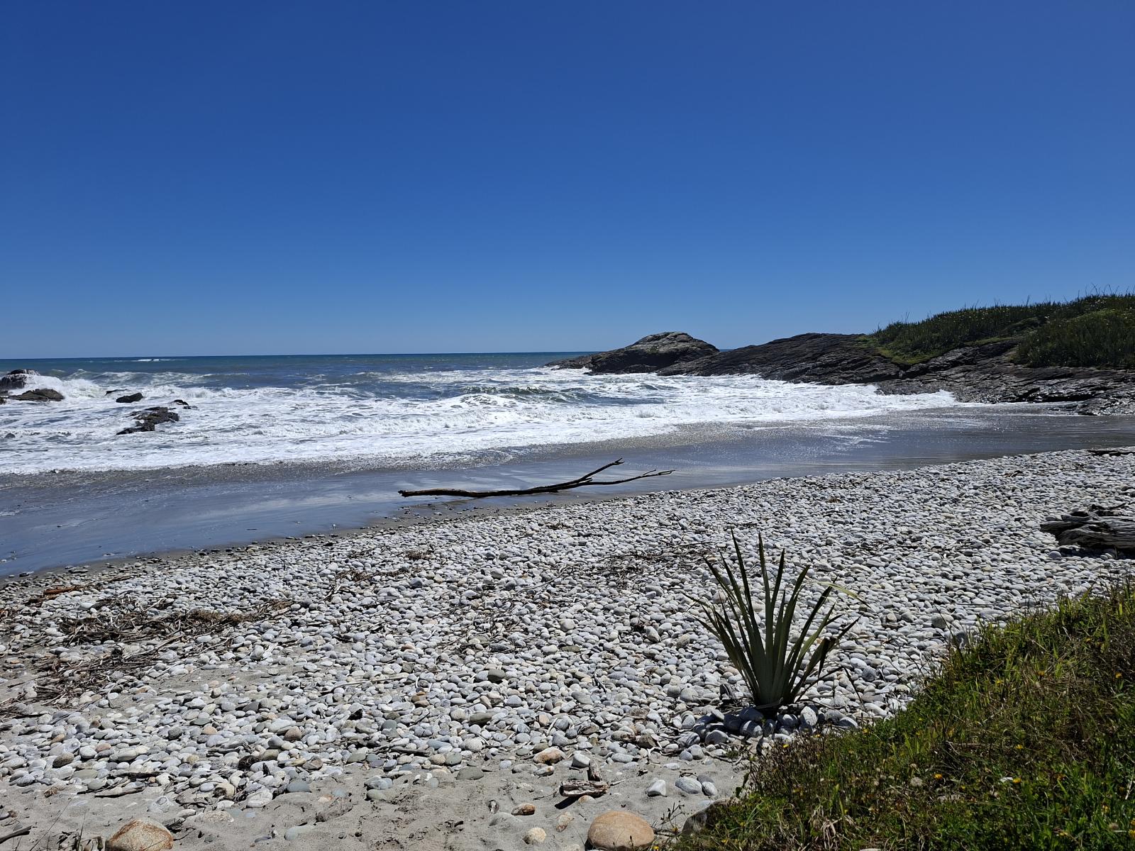 7370 State Highway 6, Charleston