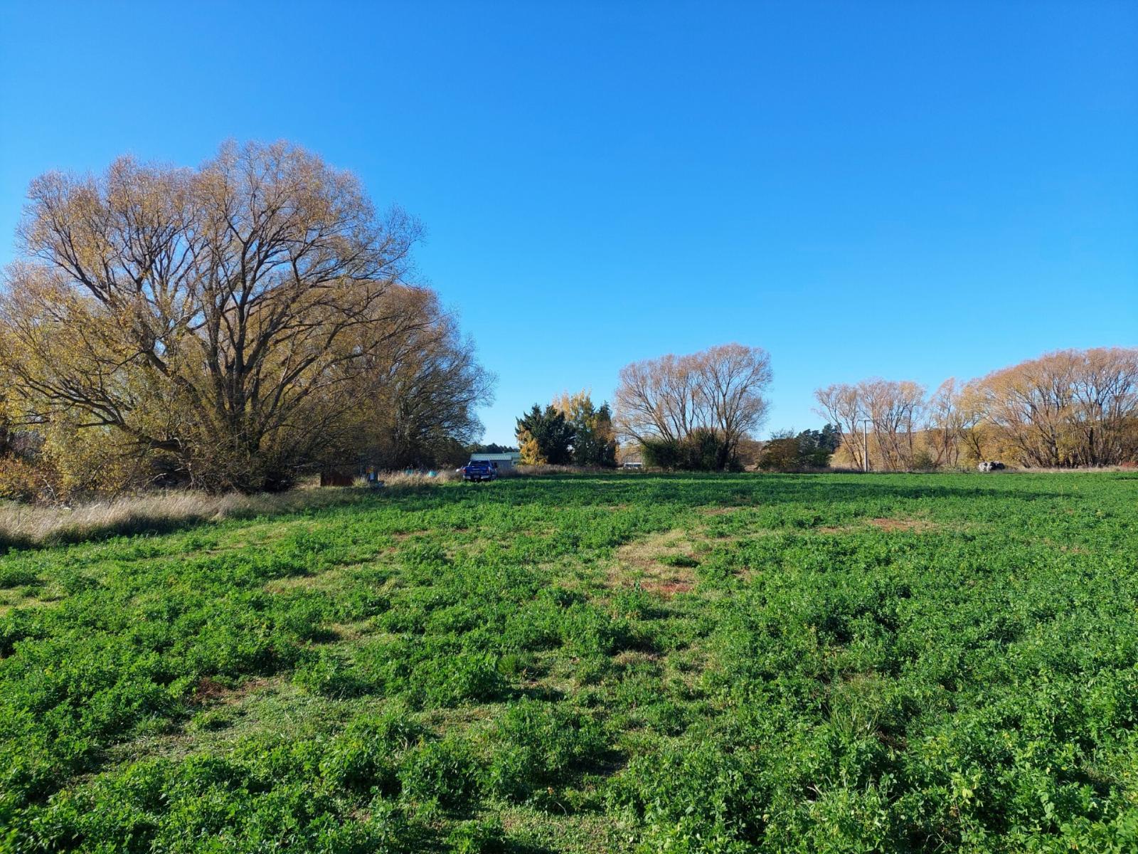 Ida Valley Road, Ophir