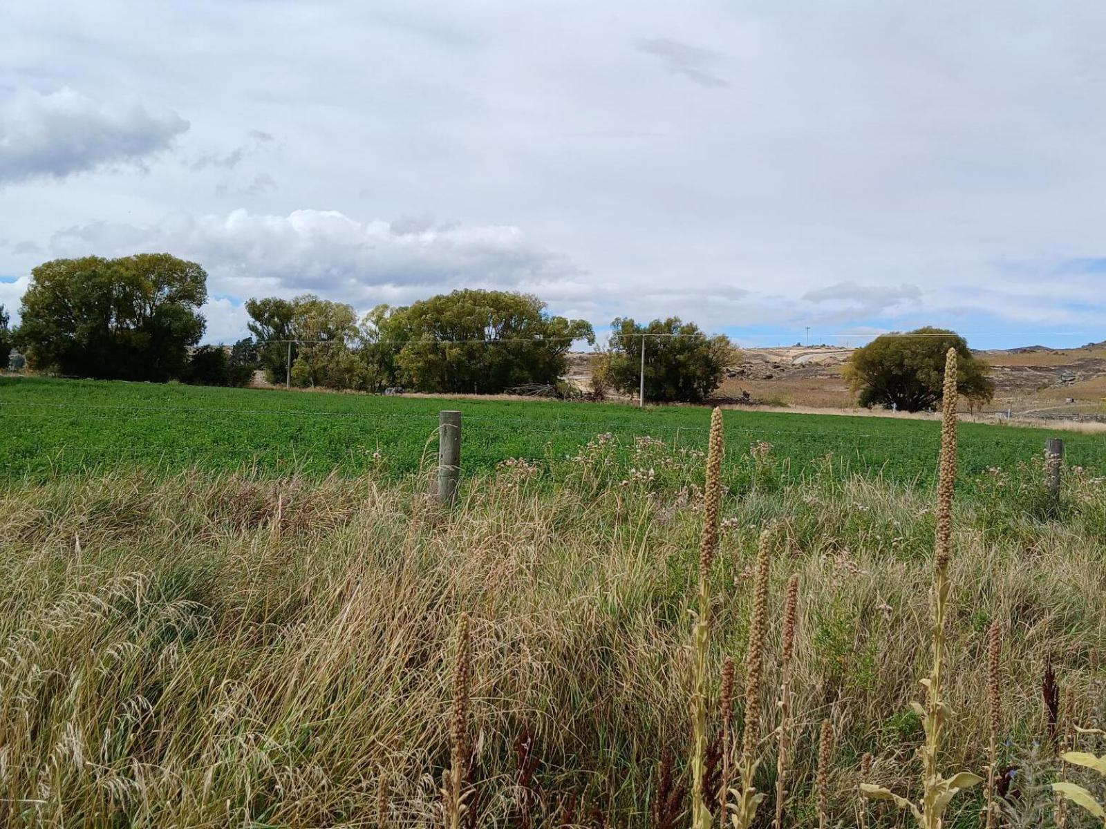 Ida Valley Road, Ophir