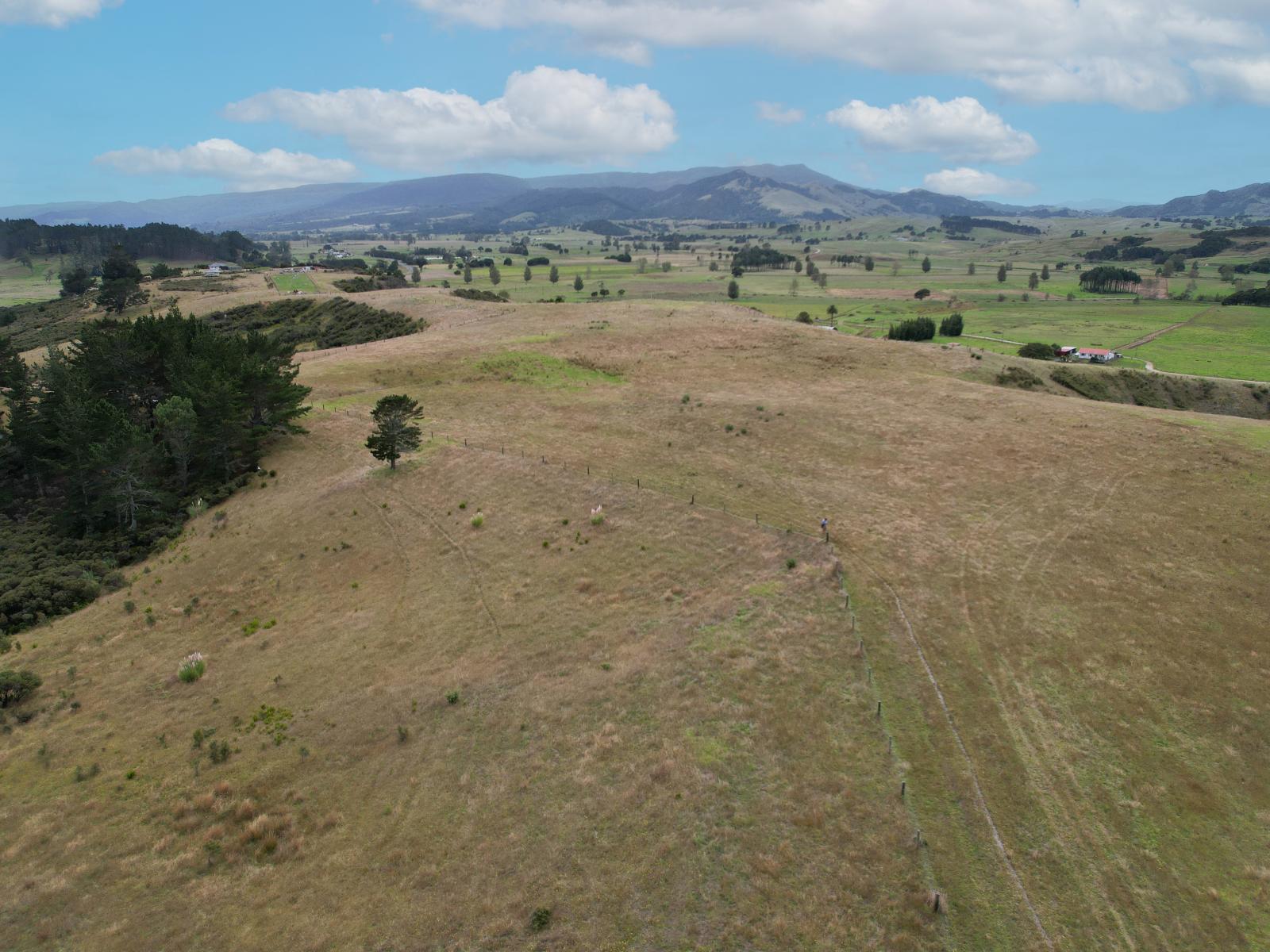 State Highway 12, Dargaville