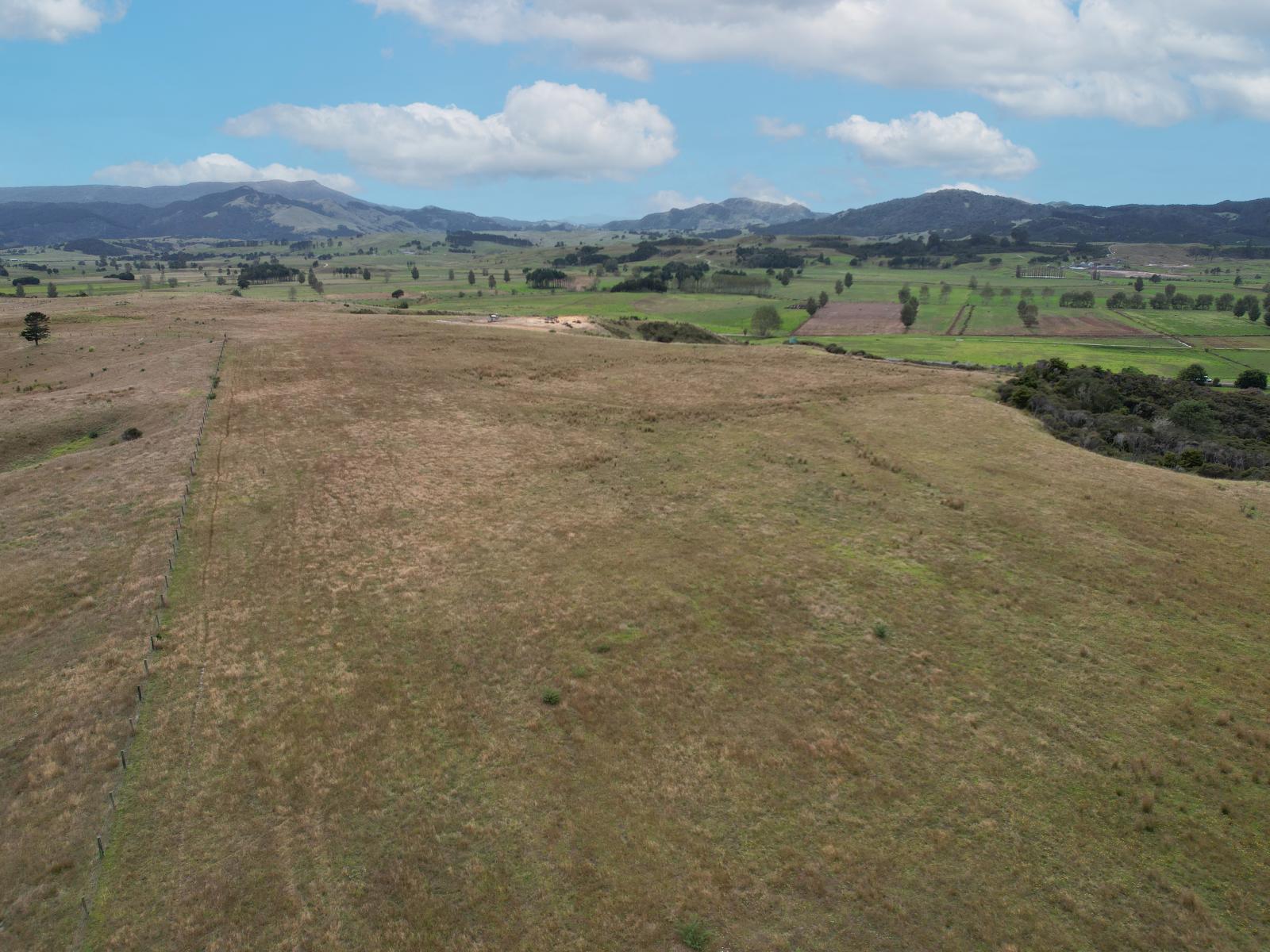 State Highway 12, Dargaville