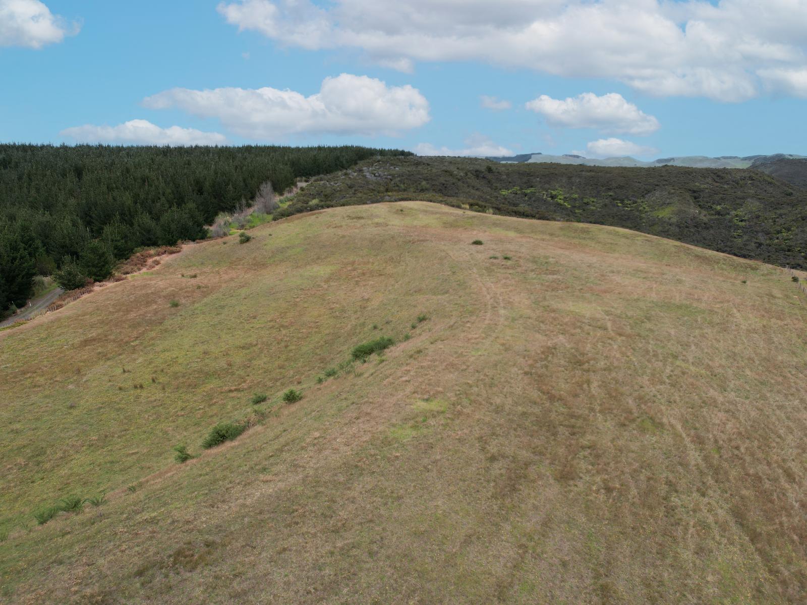 State Highway 12, Dargaville