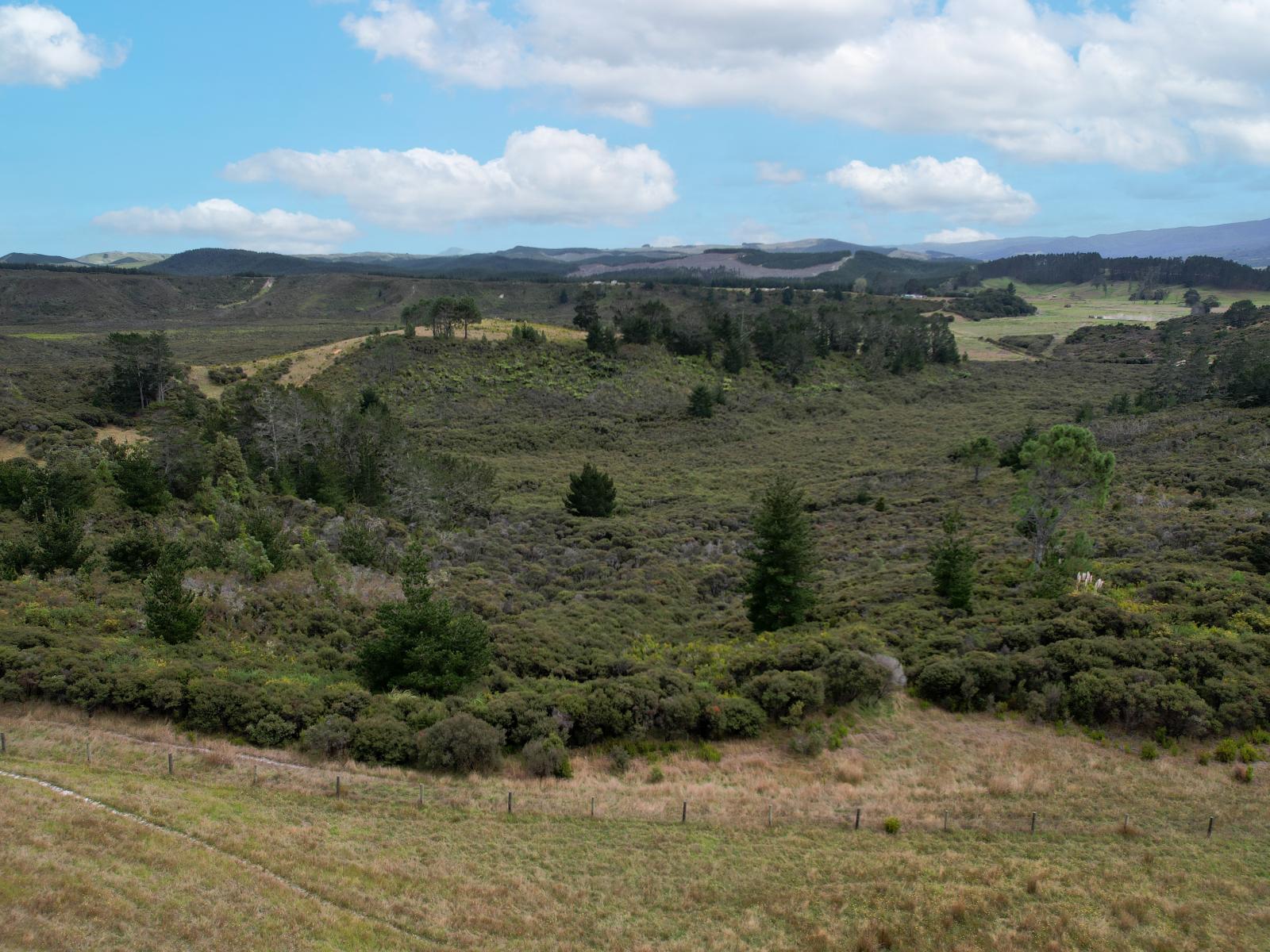 State Highway 12, Dargaville