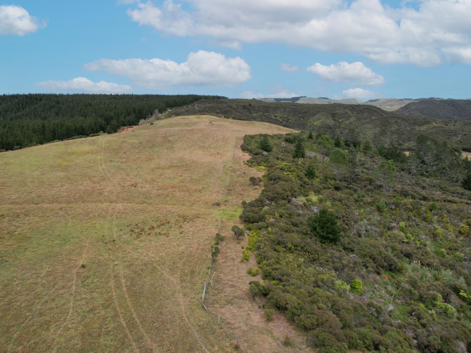 State Highway 12, Dargaville