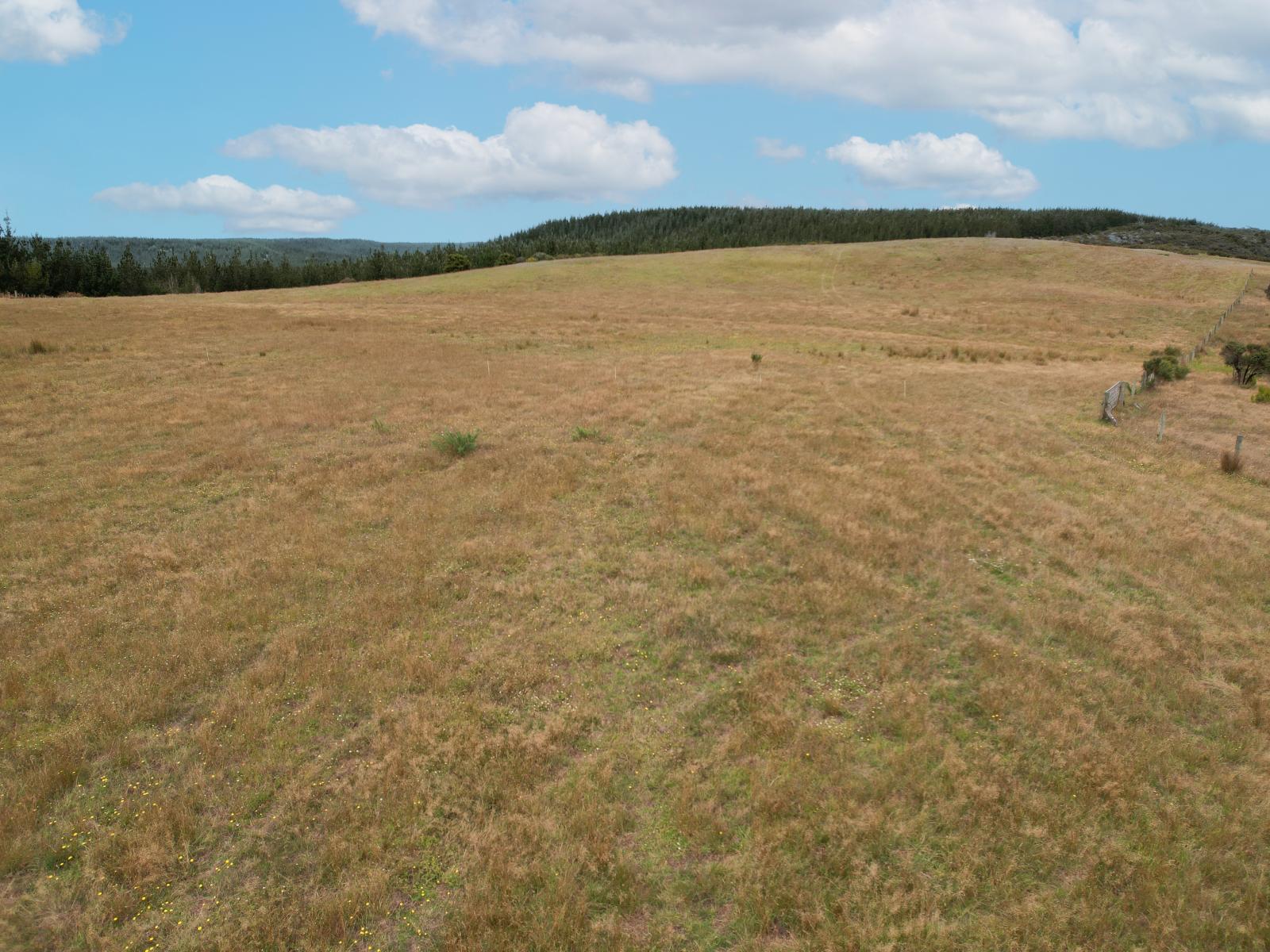 State Highway 12, Dargaville