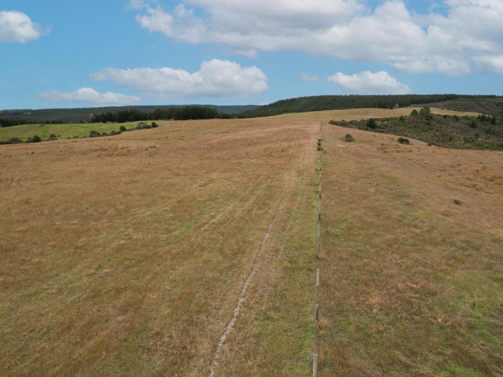 State Highway 12, Dargaville