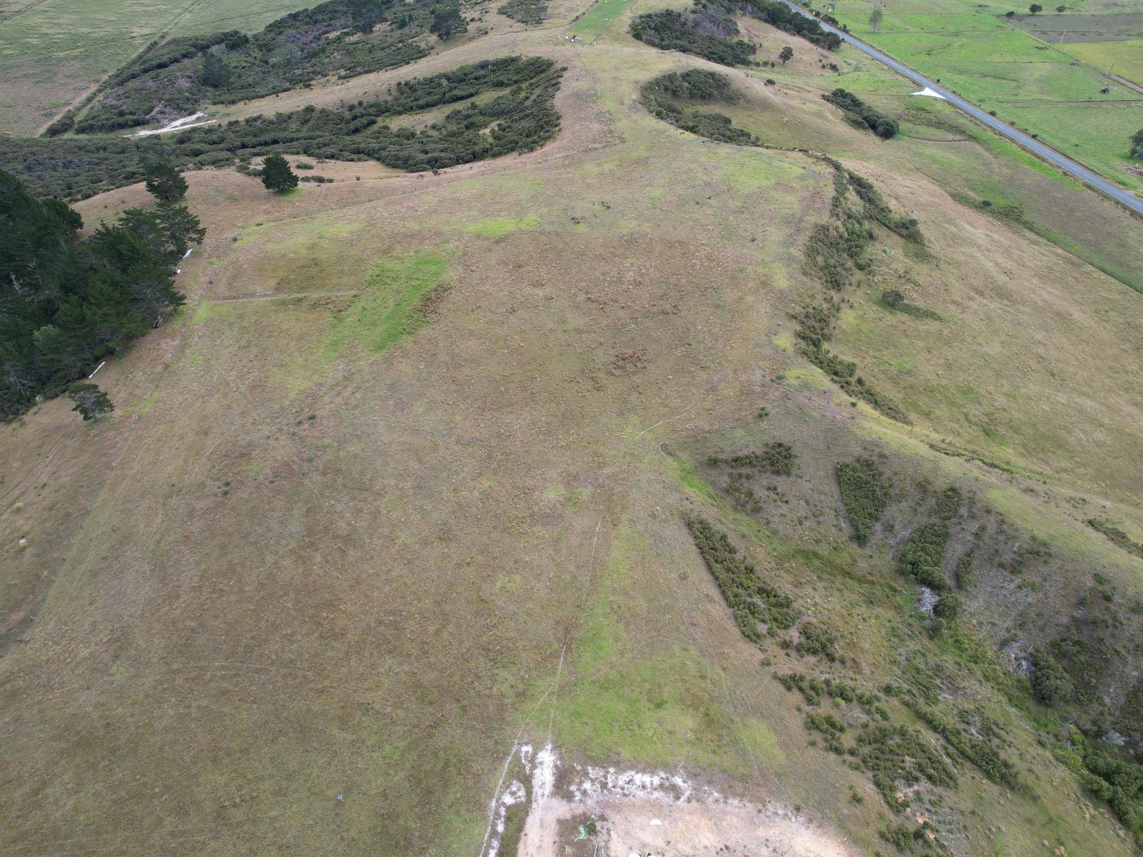 State Highway 12, Dargaville