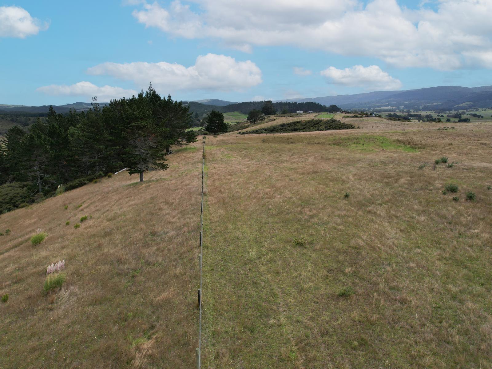 State Highway 12, Dargaville