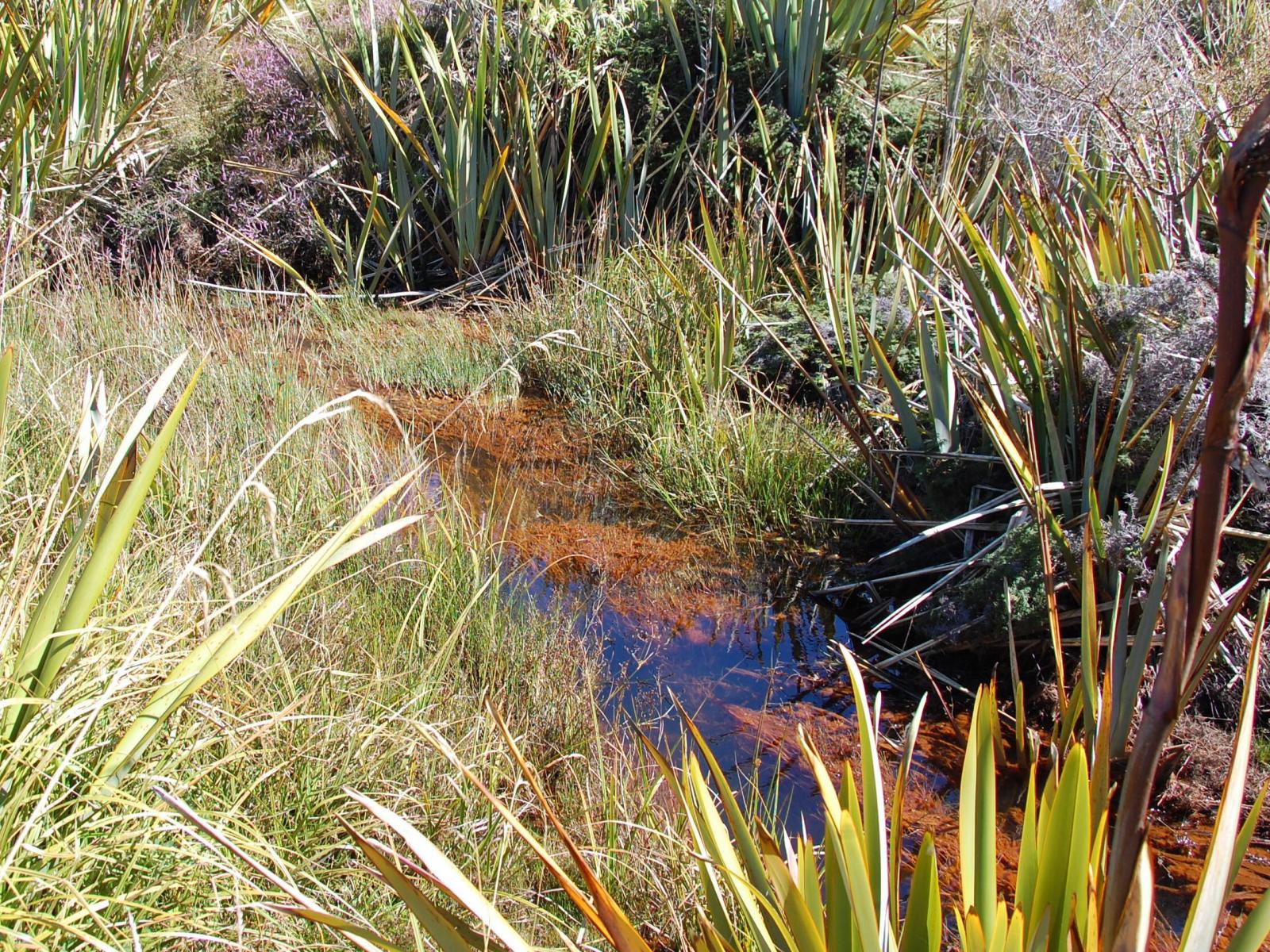28 Erua Road, National Park