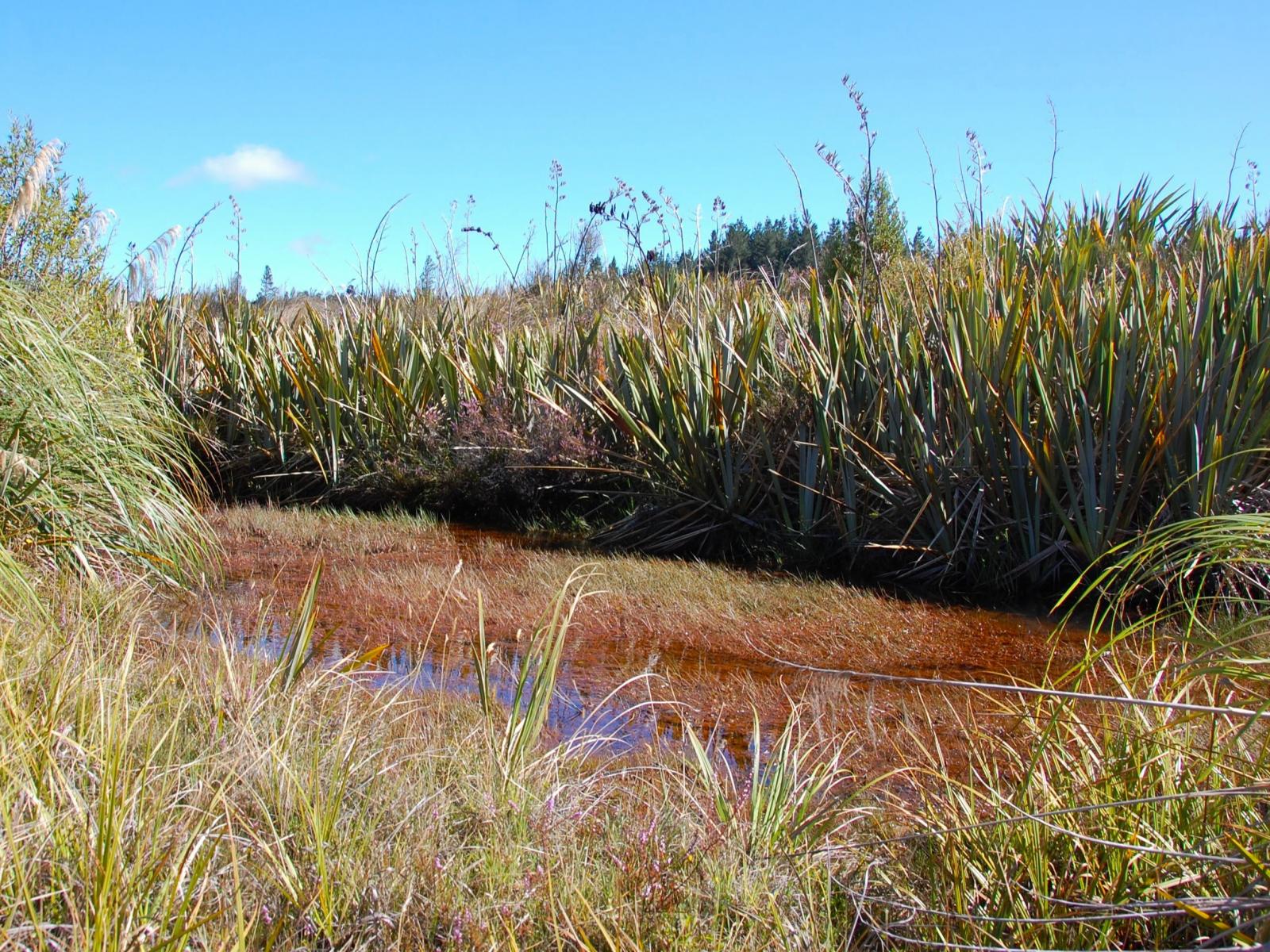 28 Erua Road, National Park