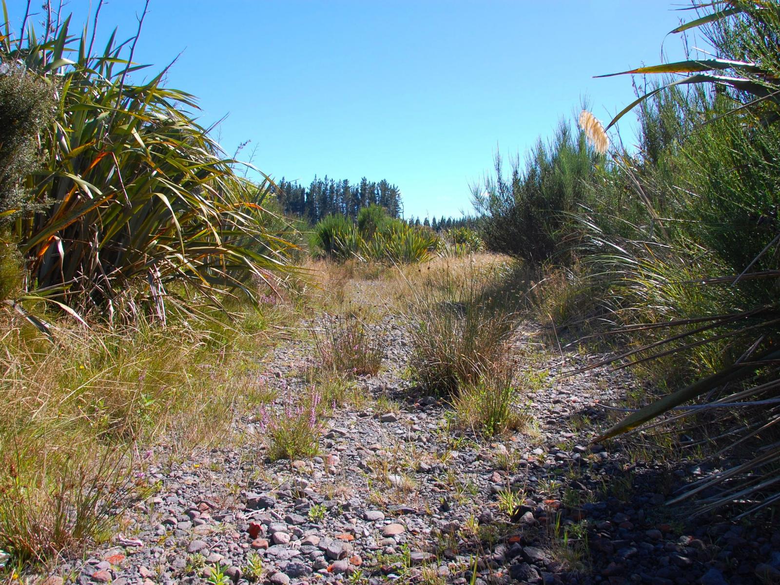 28 Erua Road, National Park