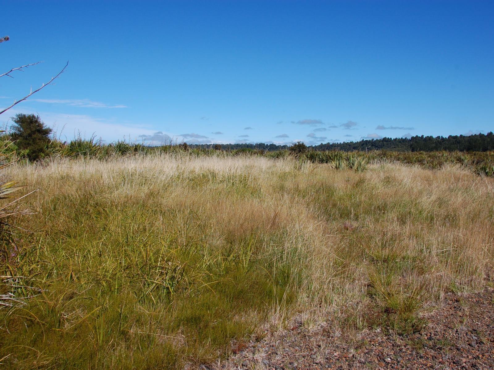 28 Erua Road, National Park