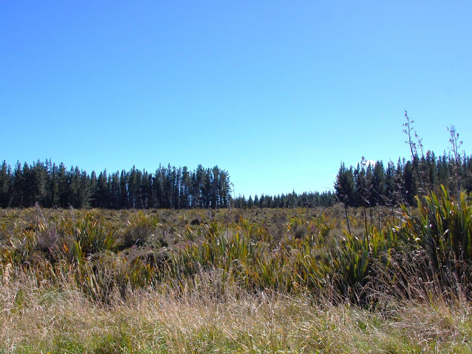 28 Erua Road, National Park
