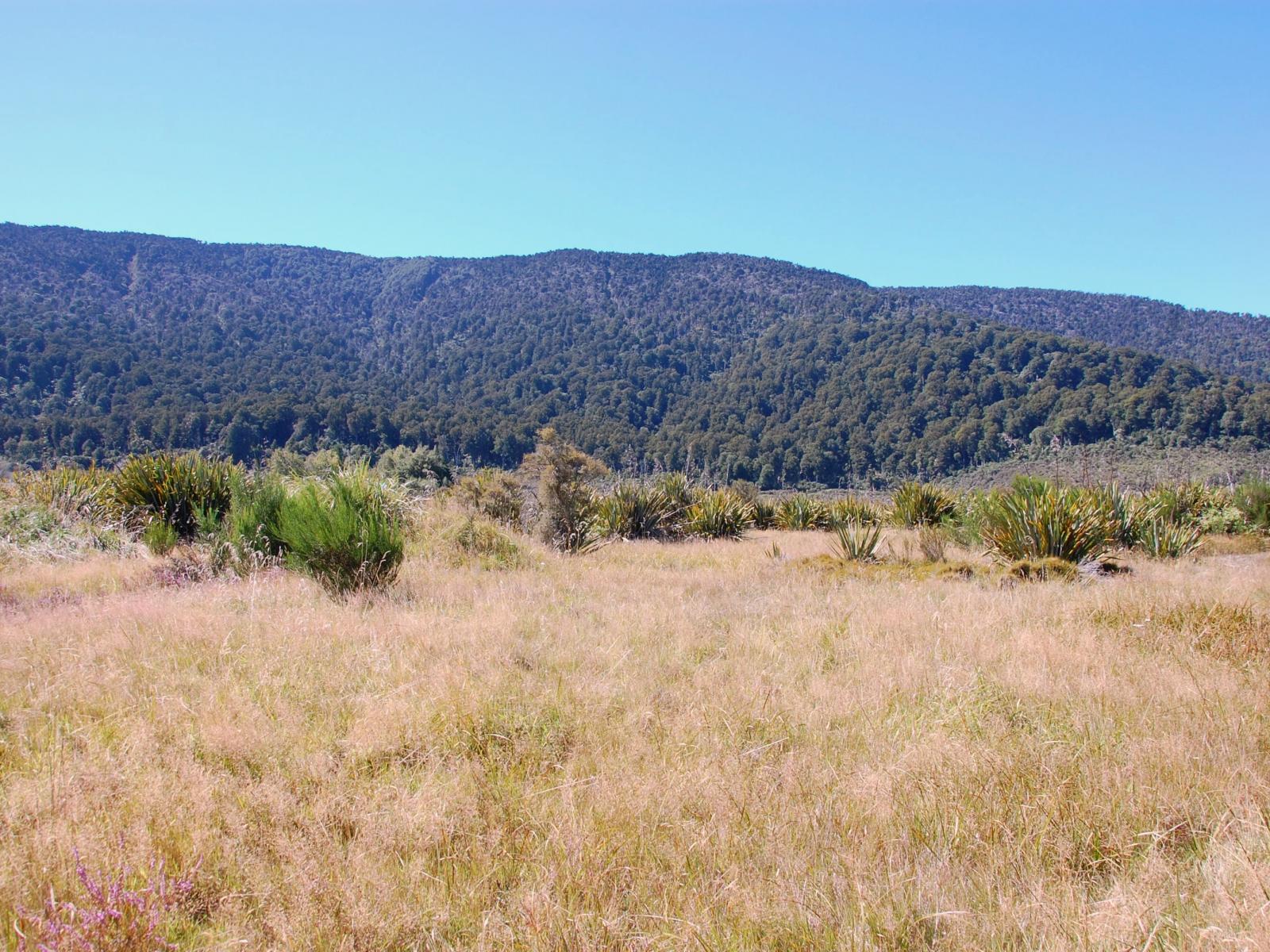 28 Erua Road, National Park