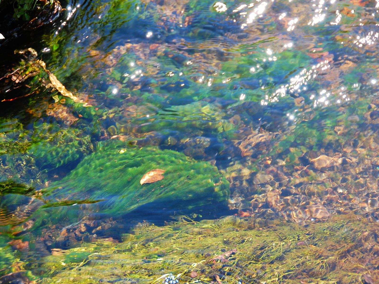 8/133 Matapuna Road, Ohakune