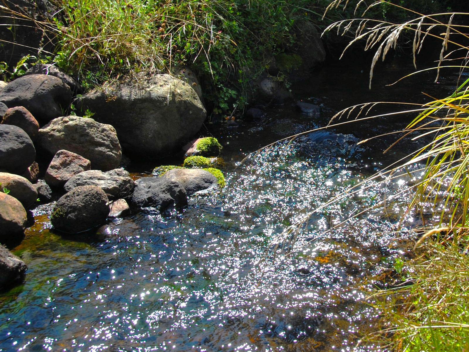 8/133 Matapuna Road, Ohakune
