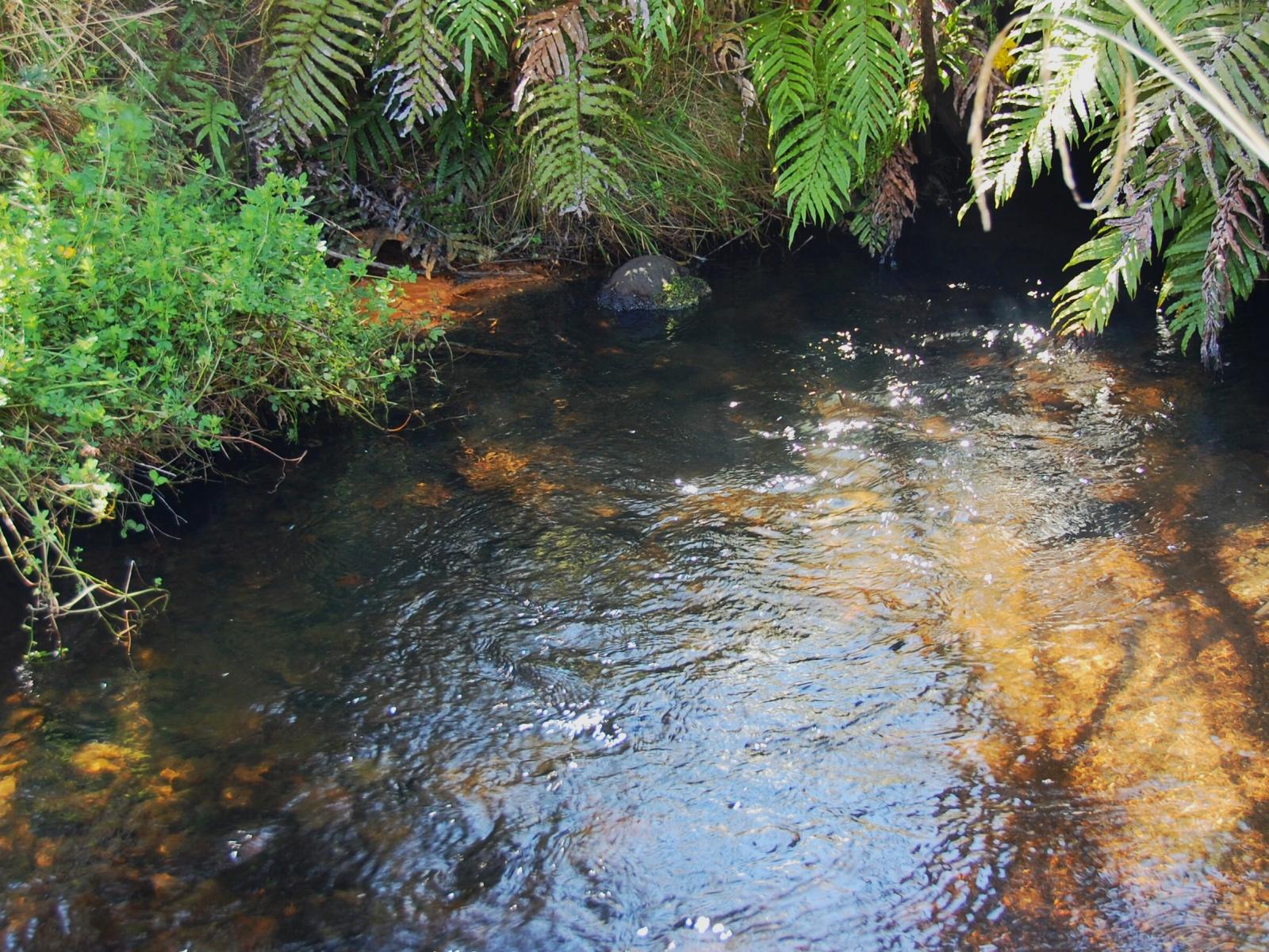 8/133 Matapuna Road, Ohakune