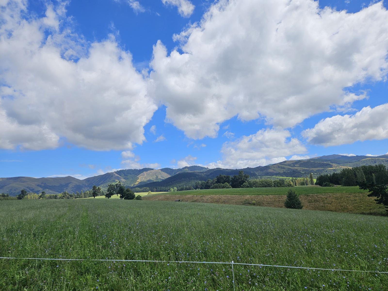 Lot 2 Brownleas Road, Waimate