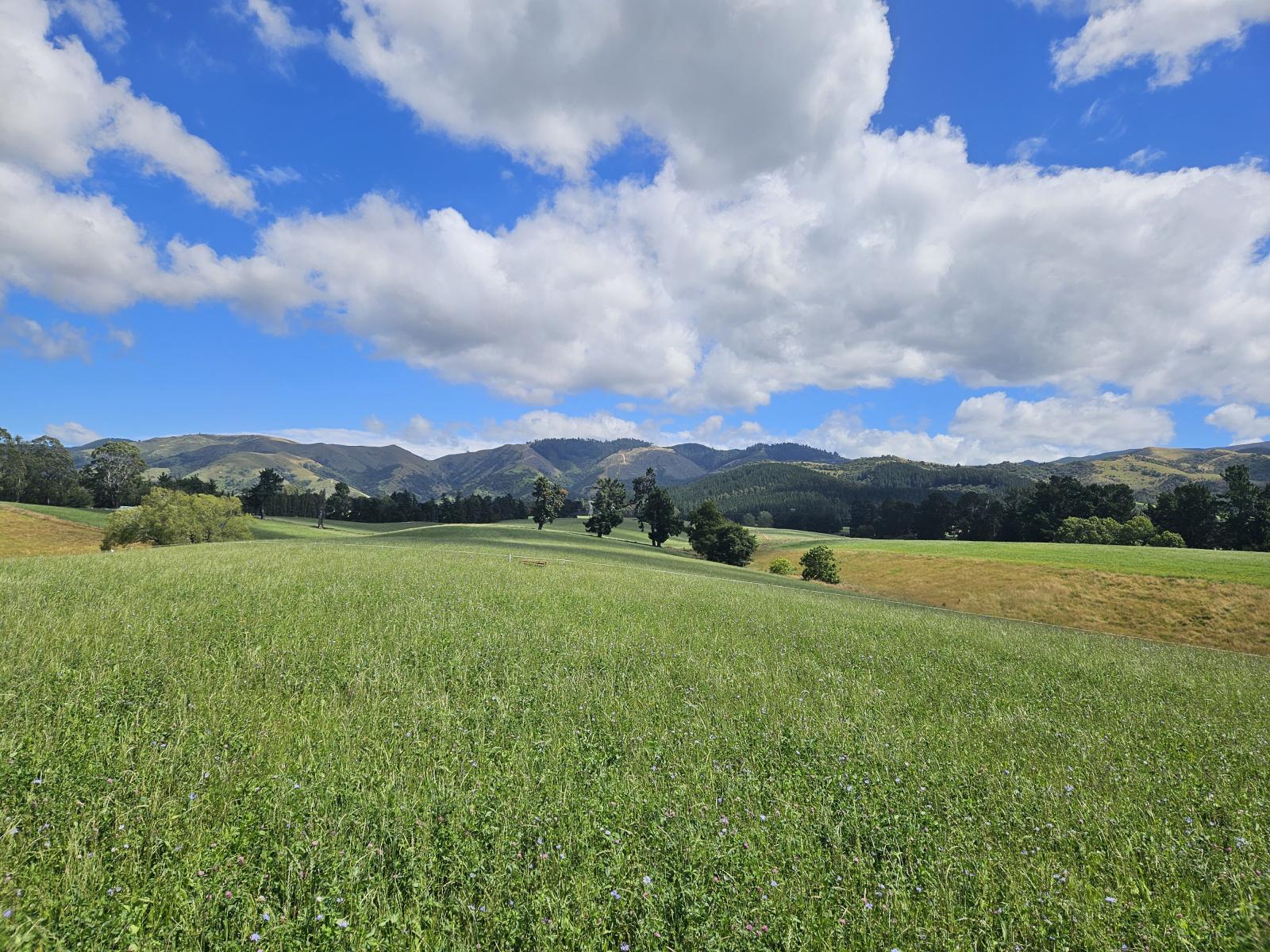 Lot 2 Brownleas Road, Waimate