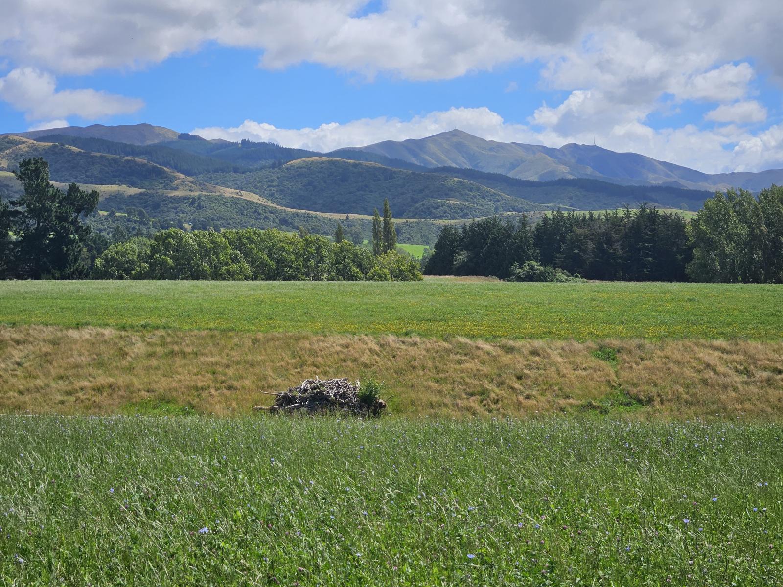 Lot 2 Brownleas Road, Waimate