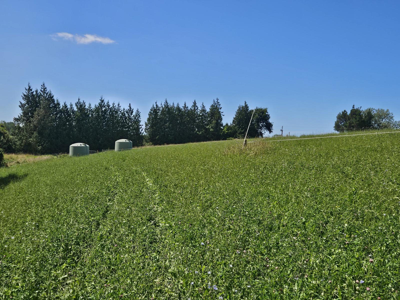 Lot 2 Brownleas Road, Waimate