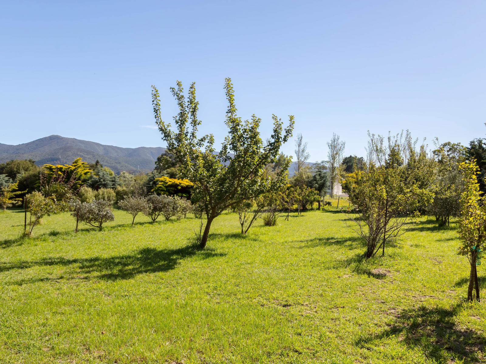 41 Boundary Road, Featherston