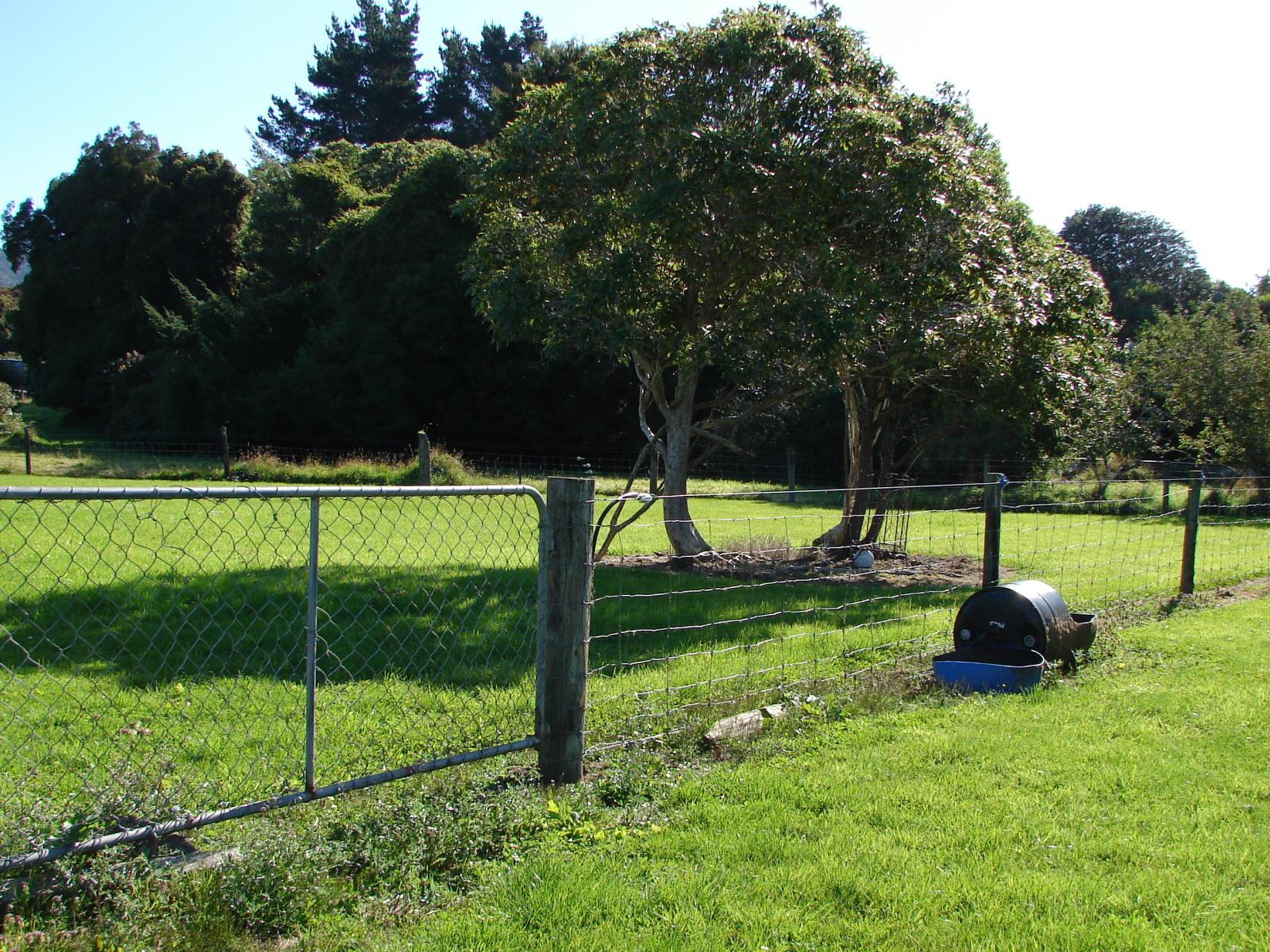 586 Niagara-Waikawa Road, Waikawa