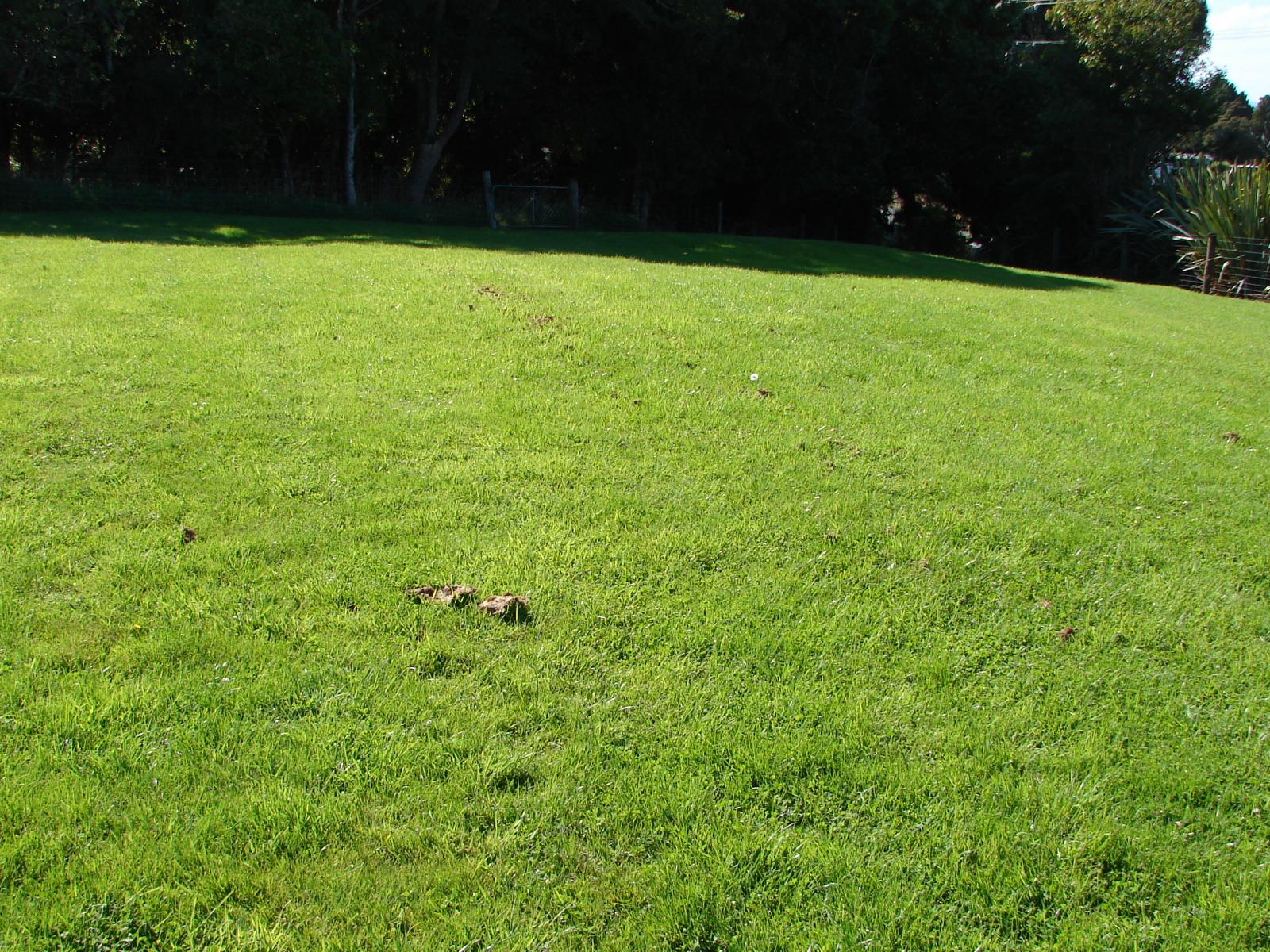 586 Niagara-Waikawa Road, Waikawa