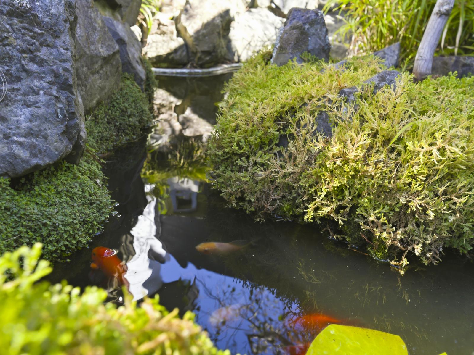 30 Callender Terrace, Paraparaumu Beach