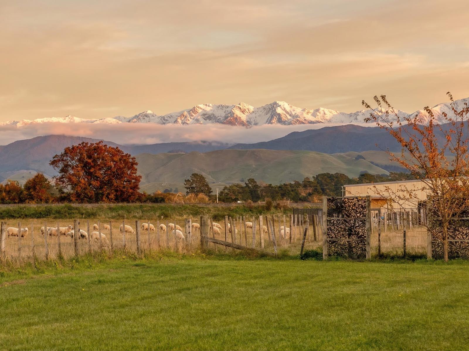 58 Donovans Road, Masterton