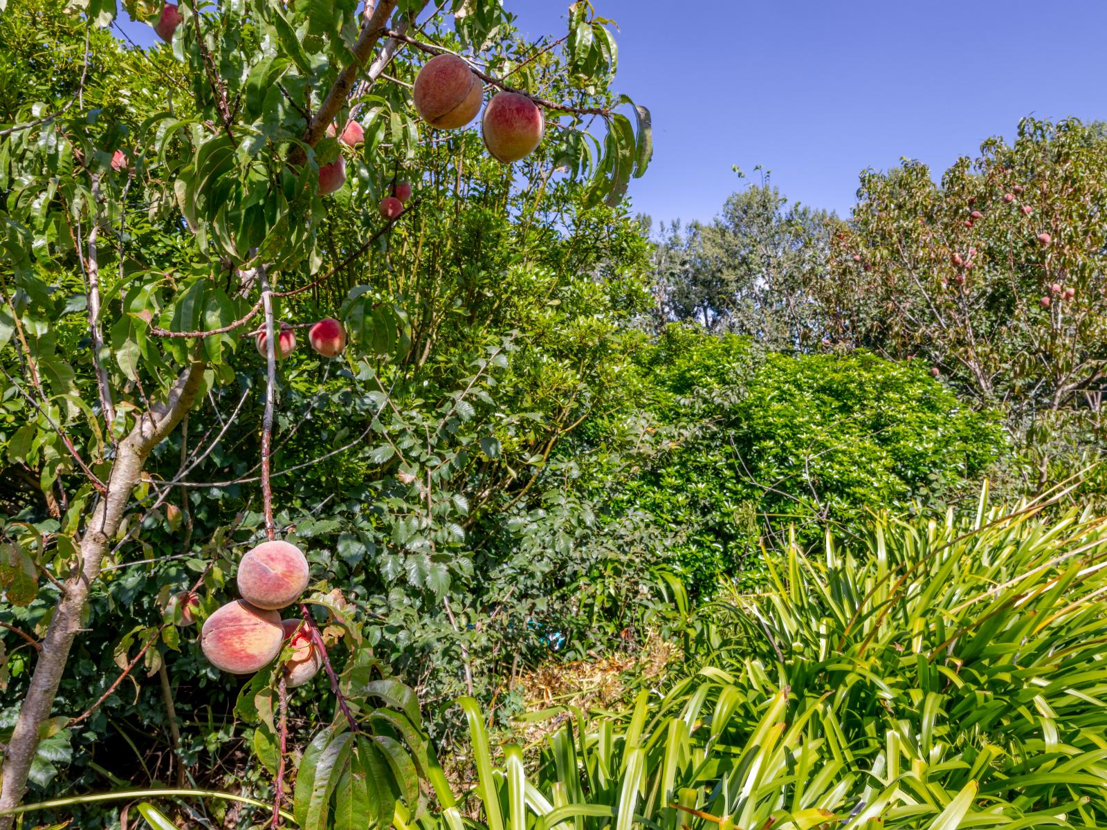 105 Lindsay Road, Waipukurau