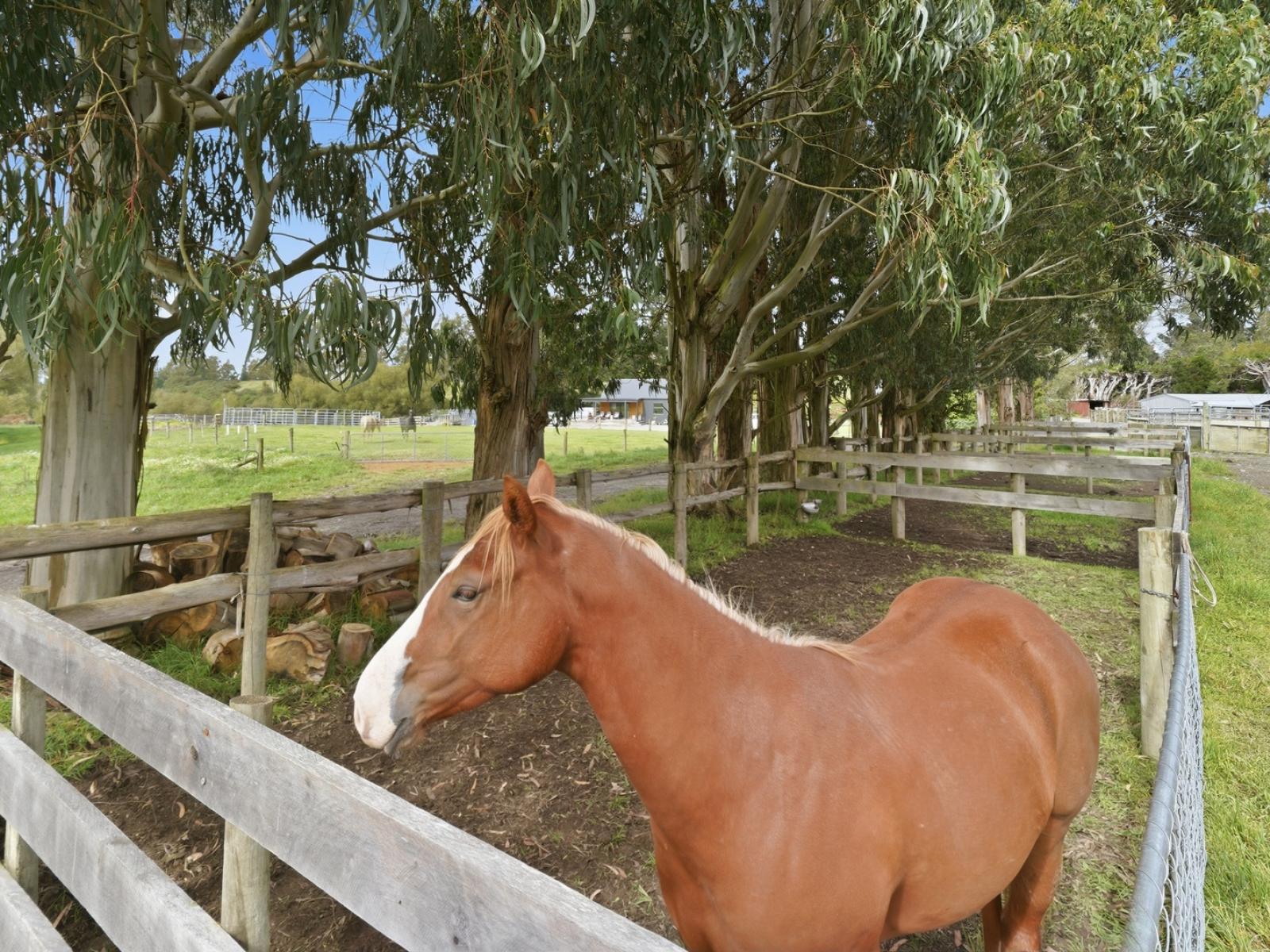 160 Sladdens Bush Road, Coopers Creek