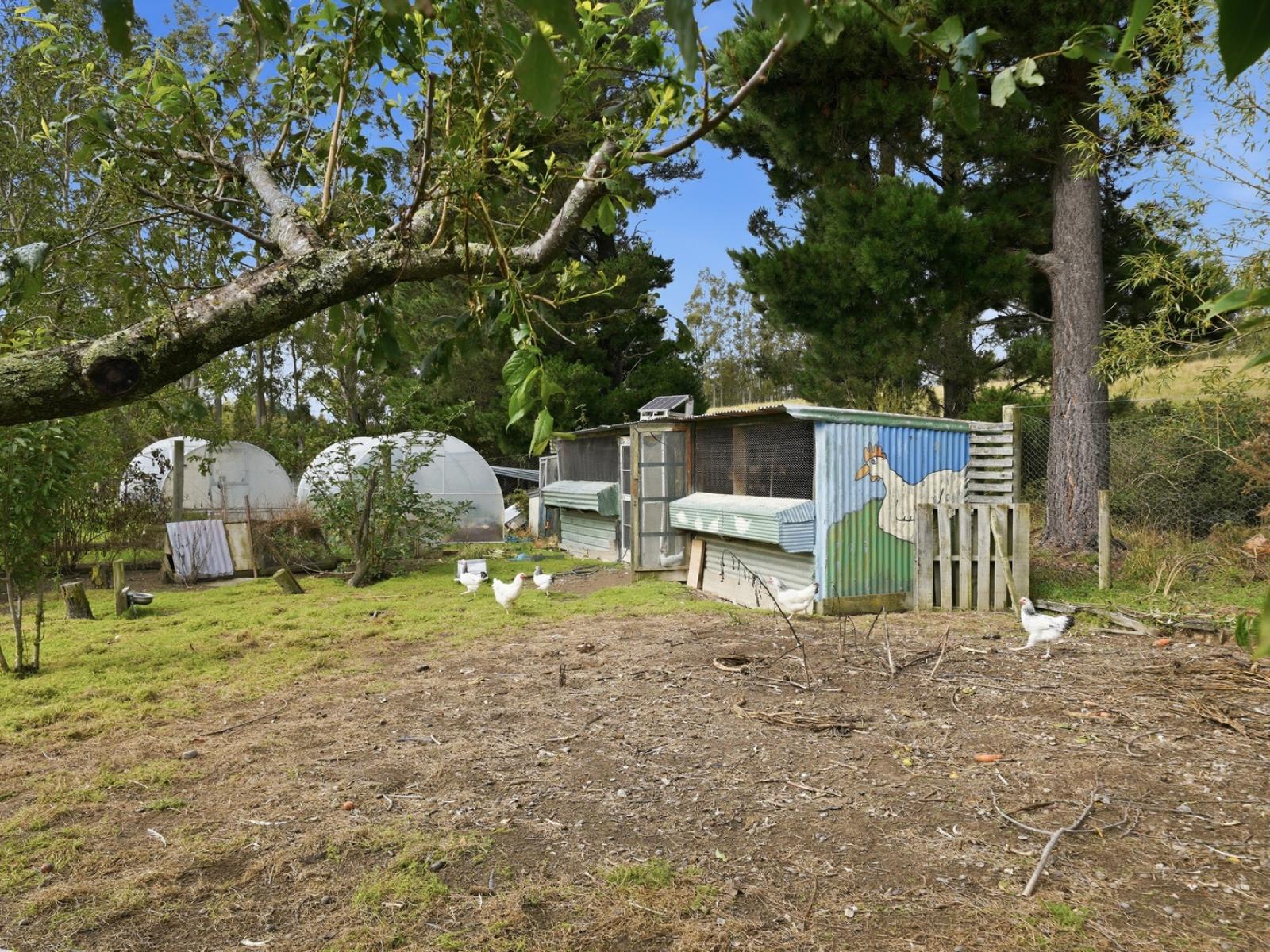 160 Sladdens Bush Road, Coopers Creek