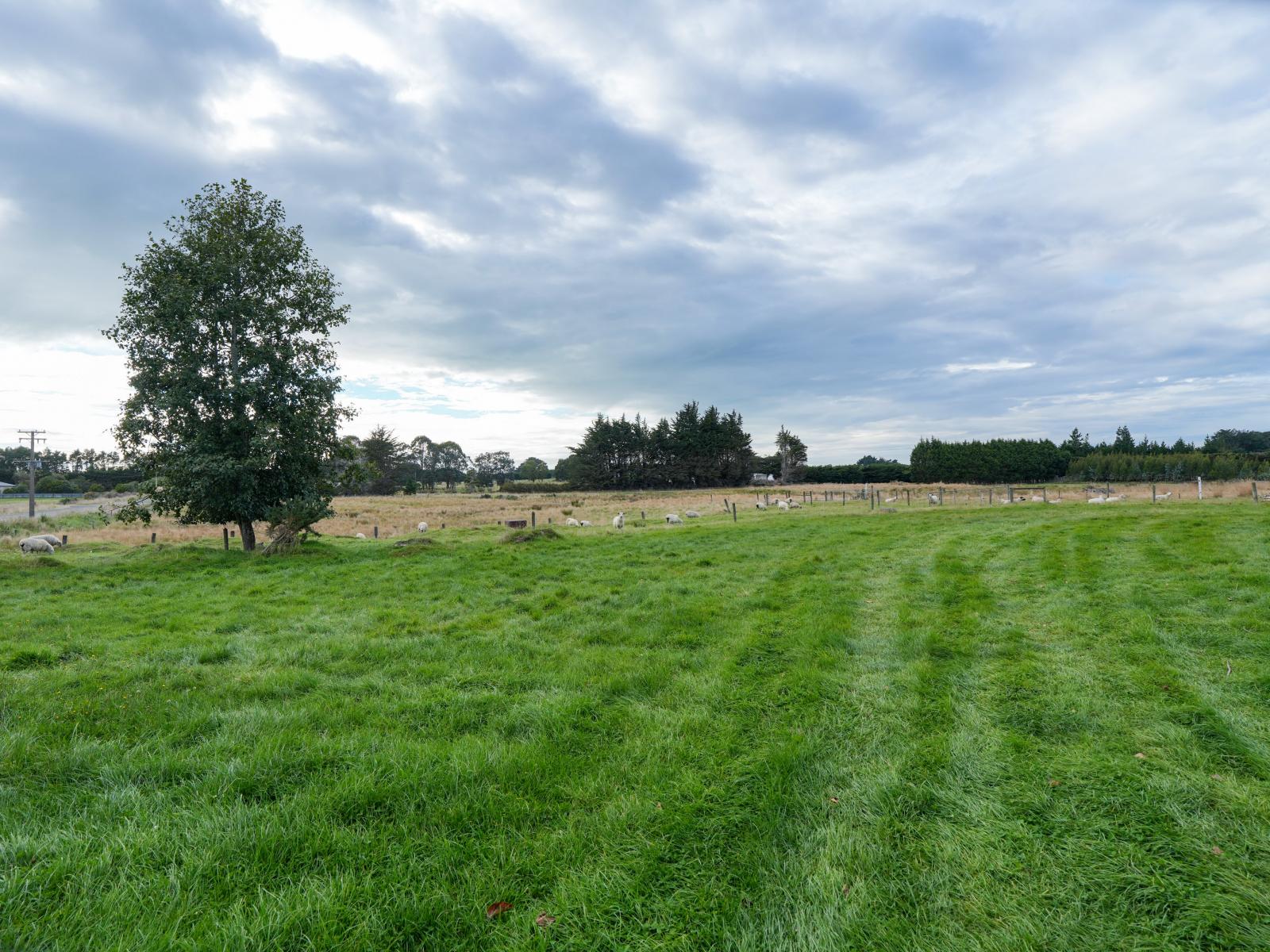 385 and 401 McQuarrie Street, Tisbury