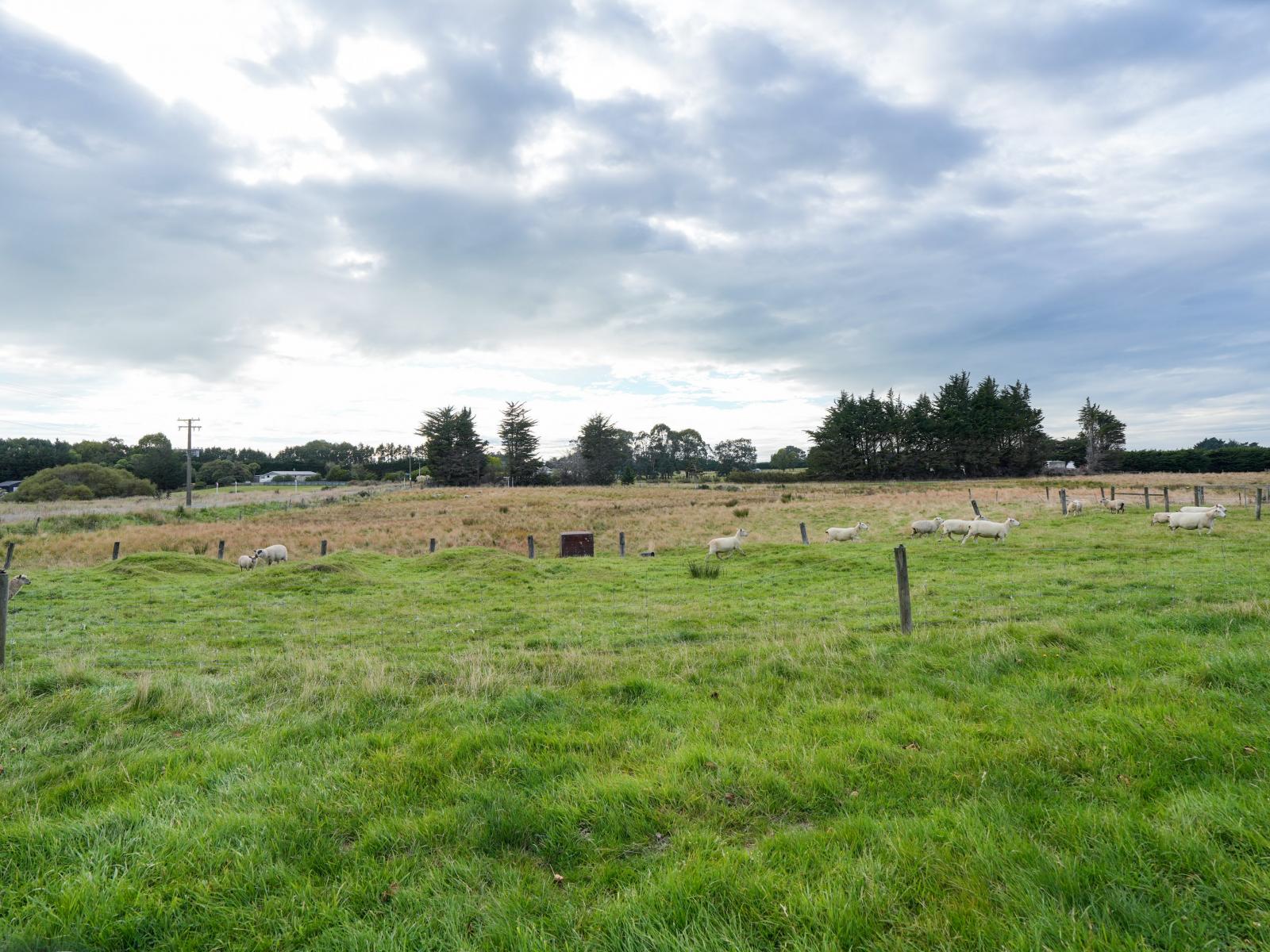 385 and 401 McQuarrie Street, Tisbury